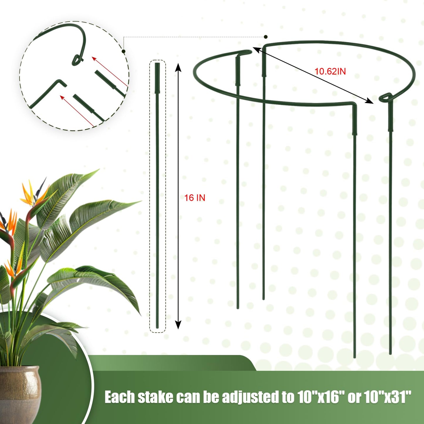 Detachable Plant Support Stakes 6 Pack, Half Round Garden Stake, Plant Stakes Cage Metal Ring Border for Indoor & Outdoor Plants, Peony, Tomato, Hydrangea(10" W x 16"-31" H)