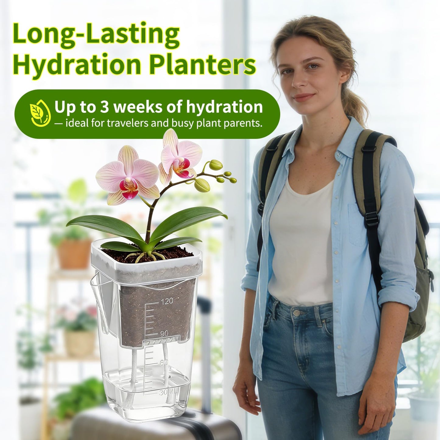 HITOSTAR 12 Pack 2 Inch Mini Clear Self Watering Pots for Indoor Plants, Small Plastic Planters with Drainage, Hydroponic Nursery Propagation Cups, for African Violet Alocasia Pot (2 Inch, 12Pack)