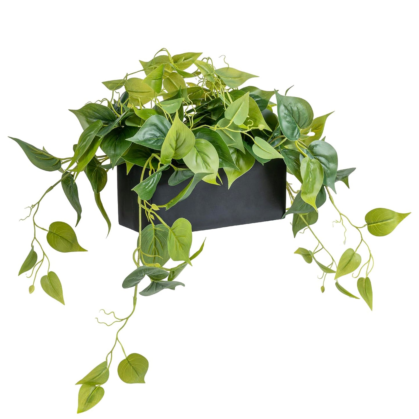 MyGift Vibrant Lifelike Artificial Plant Pothos Leafy Vine Greenery in Black Concrete Rectangular Planter Box