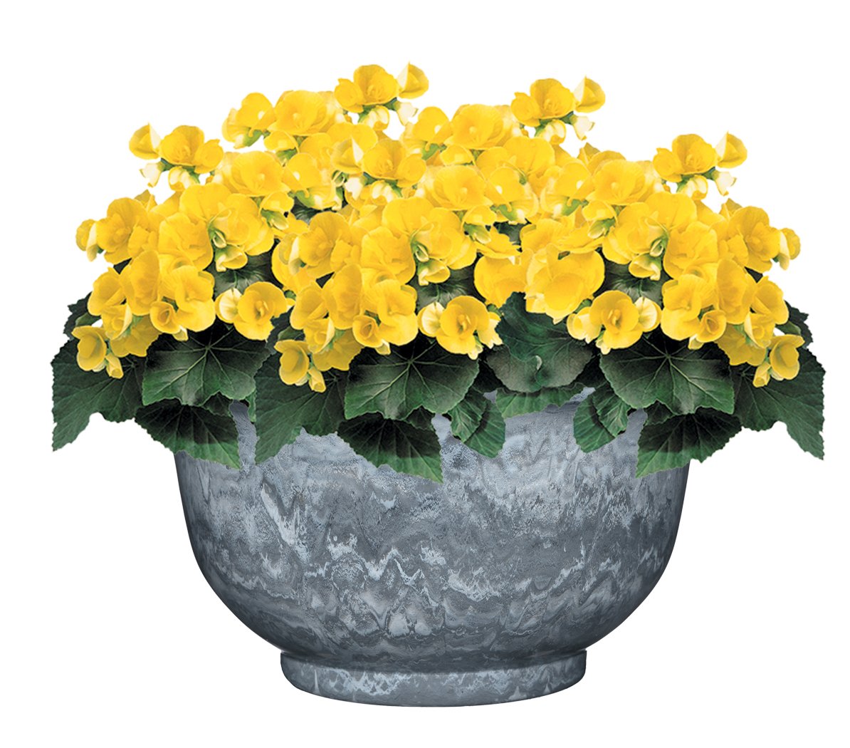 Classic Home and Garden Venetian Deep Bowl 12.5" Planter, Gray Granite