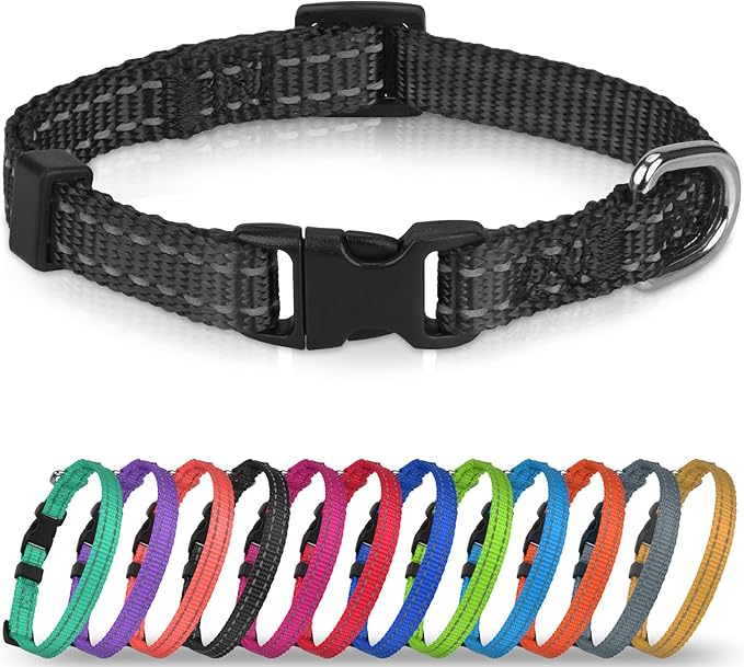 Joytale Feather-Light Dog Collar for Medium & Large Dogs, 1", Red