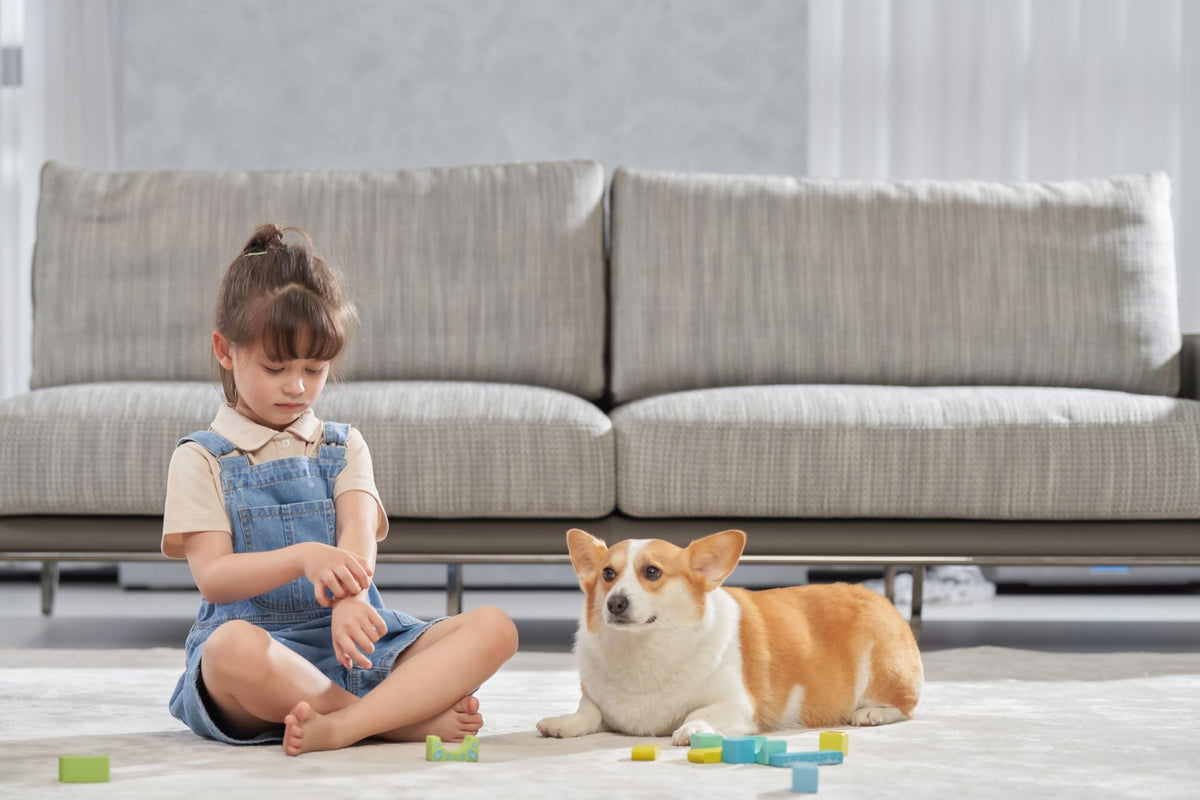 WB81 Mattress Vacuum Cleaner
