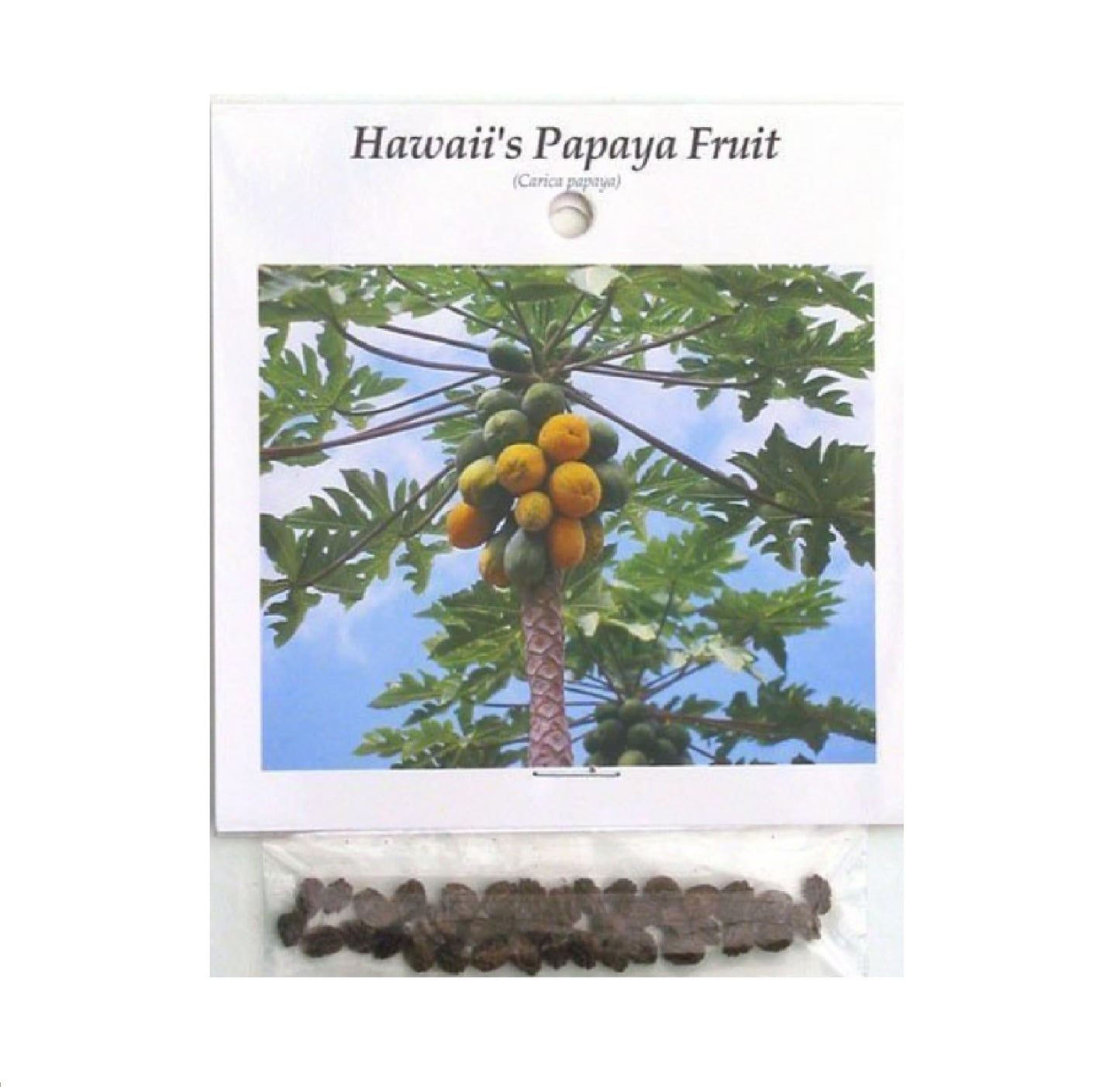 HAWAIIAN PAPAYA FRUIT SEEDS ~ GROW HAWAII