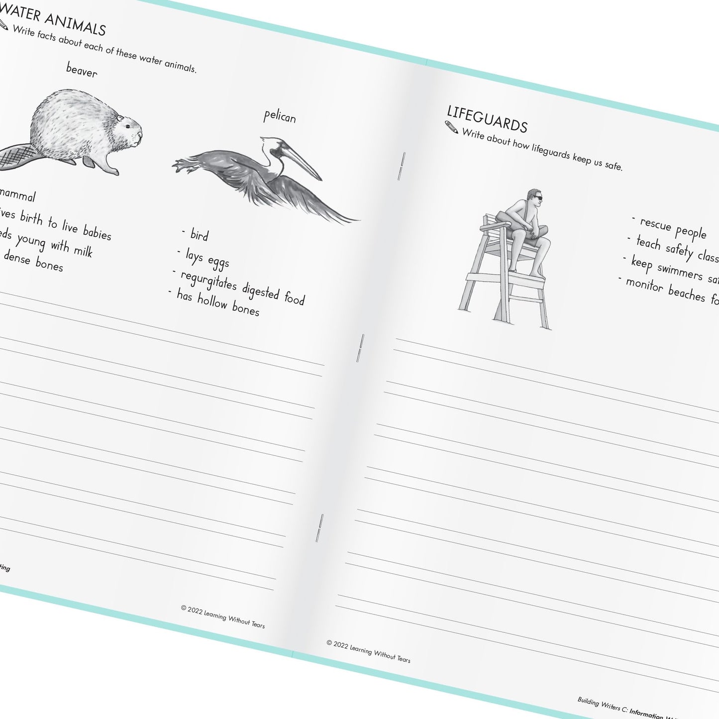Learning Without Tears, Building Writers C, Student Edition, Age 7+, 2nd Grade+, Handwriting Without Tears, Narrative, Information & Opinion Writing, Fluency, School & Home, Tutoring