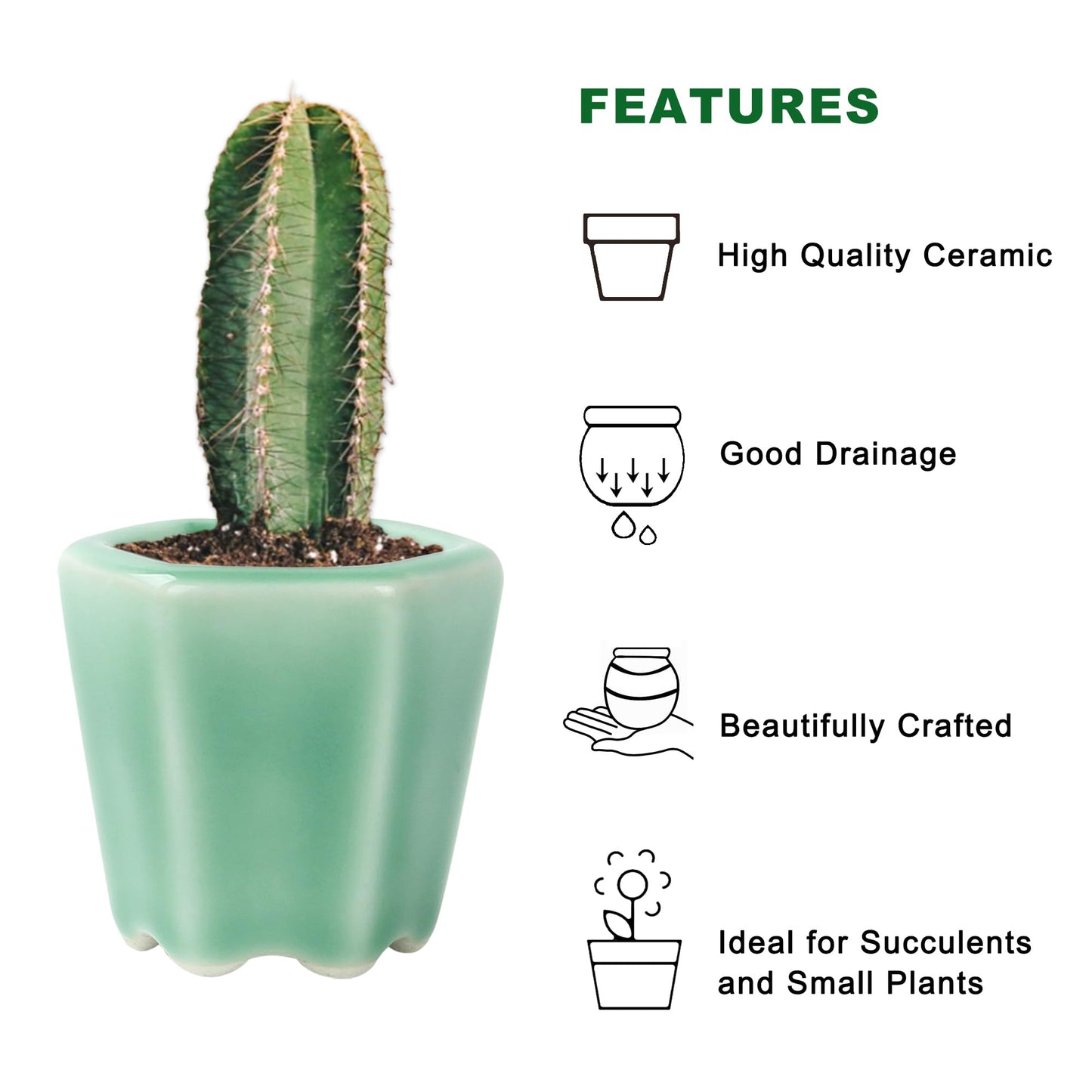 Bonsai Planter Succulent 2.4-2.8" (6-7cm) Mini Green Pots Value Set of 2