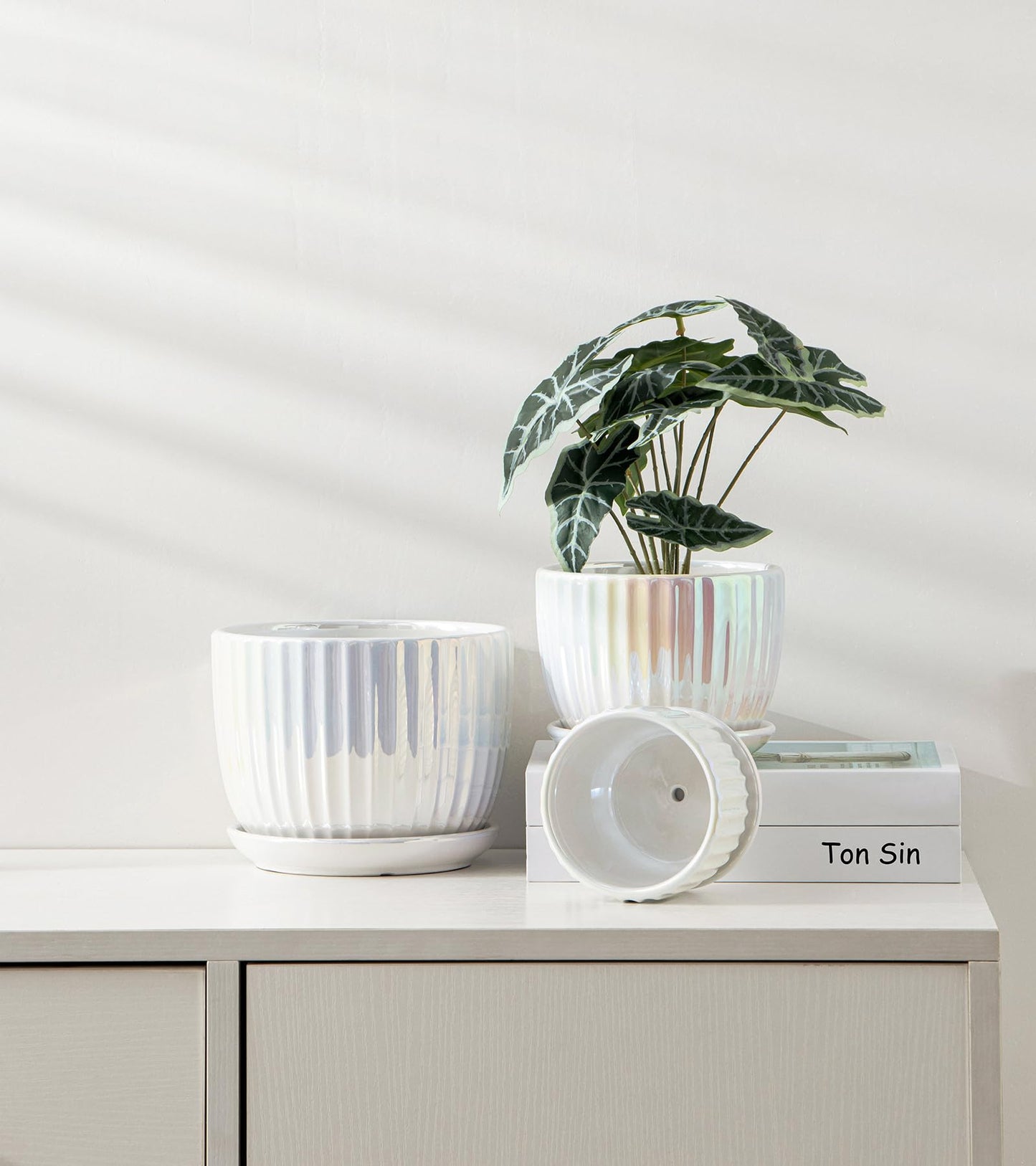 Ton Sin White Plant Pots,Pearl Gold Ceramic Flower Pots 4"+5"+6" Inch Indoor Succulent Pot with Drainage Hole - Decorative Orchid Pots and Herb Pots Set of 3