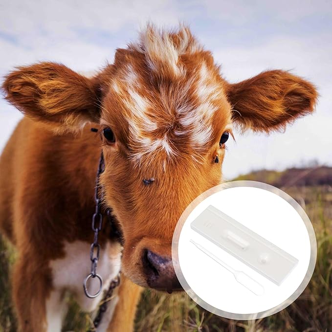 3 Pcs Pregnant Tester Livestock Testing Testing Tool Animal Pregnancy Test Tools Cattle High Precision Strips Cow Colloidal Test Paper Livestock Supply