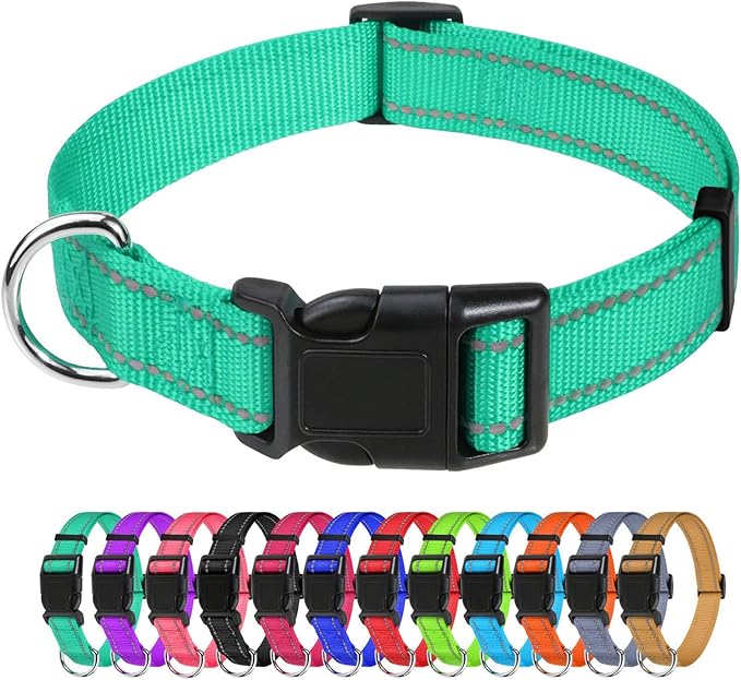 TagME Large Dog Collar, Reflective Nylon Collar, Khaki, 1.0" Width