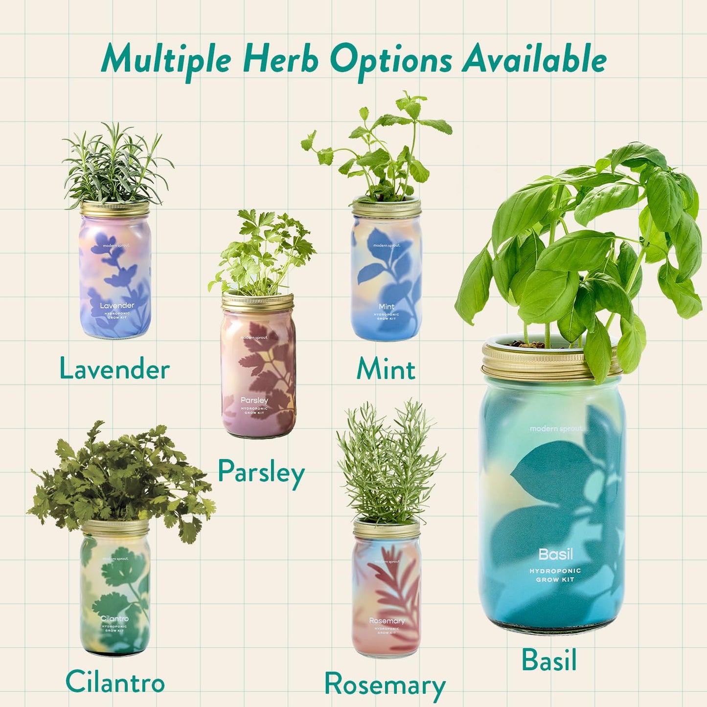 Modern Sprout Mason Garden Jar - Self-Watering Hydroponics Growing System Kit with Organic Herb Seeds - Jar Planter for Indoor Herb Garden - Seed Starter Kit - Home Decor & Gifting - Basil