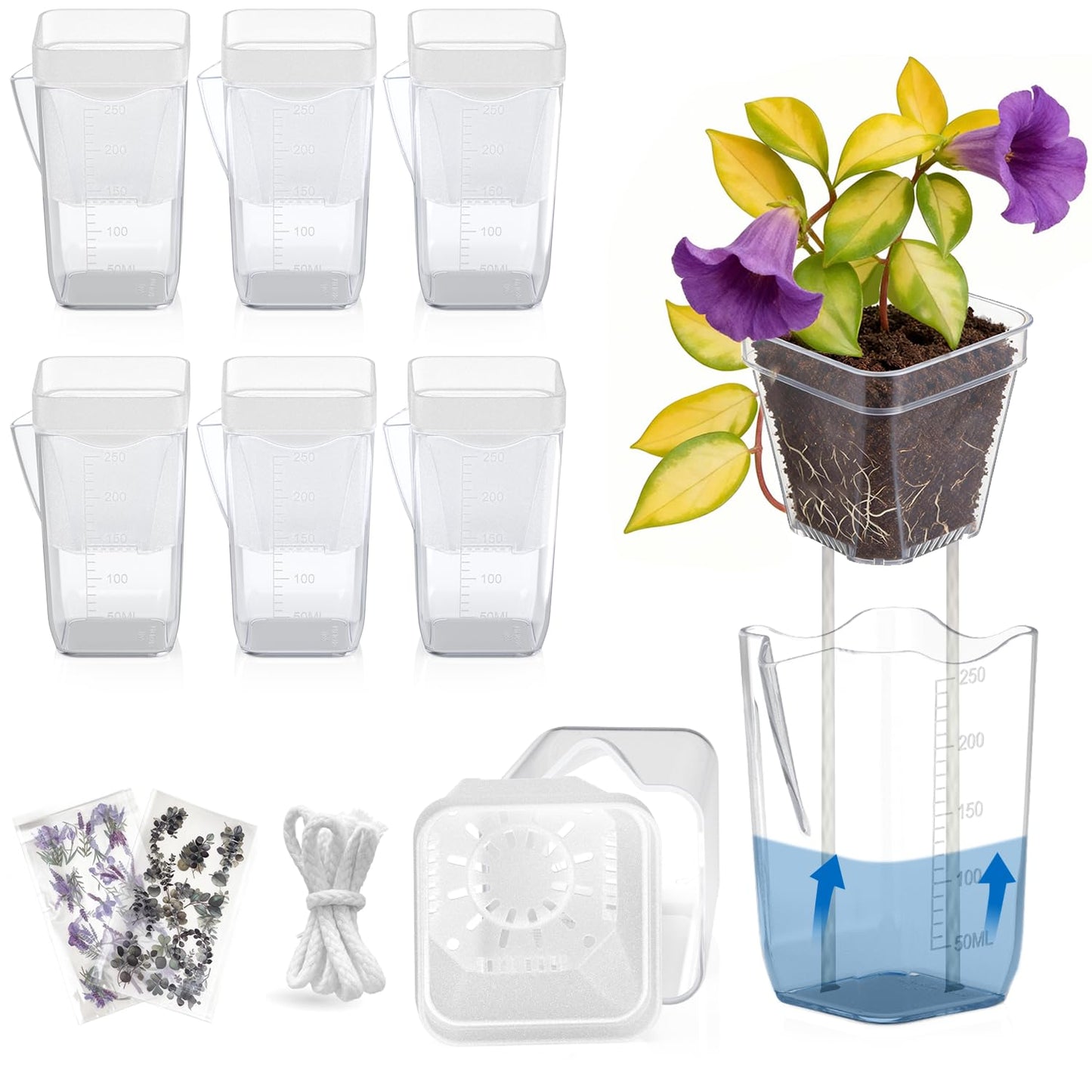 8 Pack Self Watering Pots with Transparent Double-Layer Design, 2.5" Small Plastic Planter for Indoor Plants, Semi-Hydro, Propagation, Flowers, Herbs - Includes 12 Plant Labels & Flower Stickers