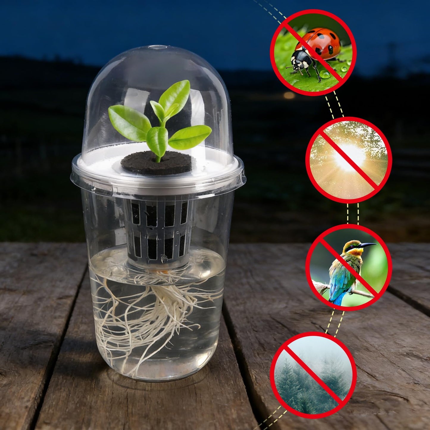 6 Pack Clear Hydroponic Nursery Kit, Transparent Plant Starter Hydroponic Pots for Seed Starting, Hydroponic System for Nursery