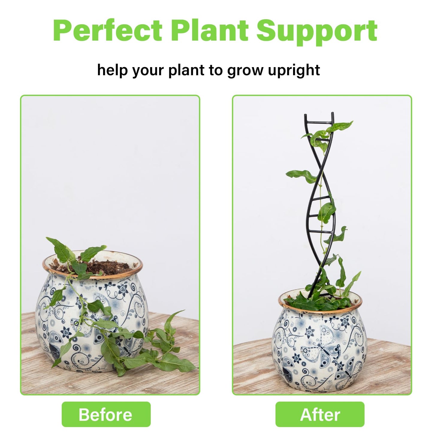 Goooxim DNA Spiral Plant Trellis Indoor - Durable Metal Trellis for Potted Plants, Perfect for Small Houseplant Pots, Ideal for Ivy and Pothos, Space-Saving Vertical Support for Climbing Growth