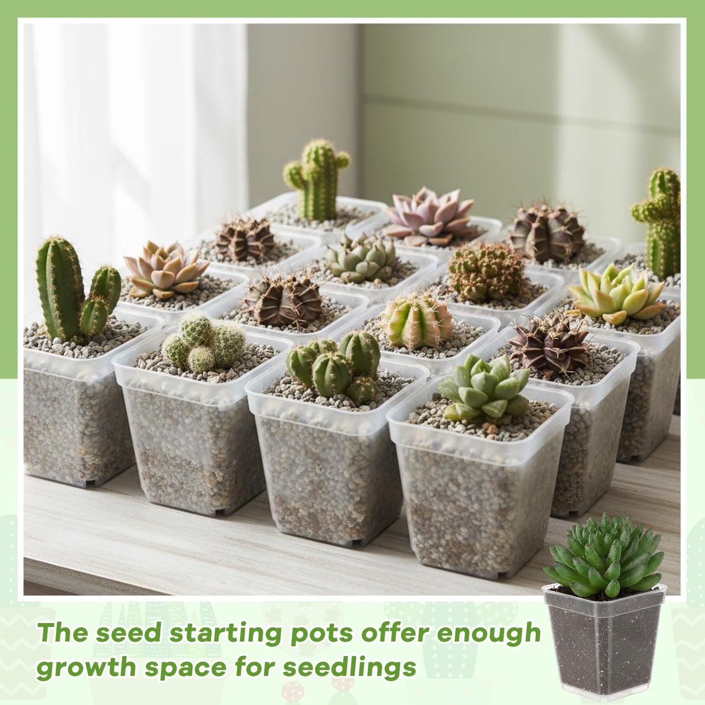 Yaomiao 200 Pack 3 Inch Clear Nursery Pot Square Flower Pots Plastic Plant Succulent Planter Seed Starting Pots with Drainage Holes for Garden Office Balcony Decor Indoor Outdoor Plant Seedling