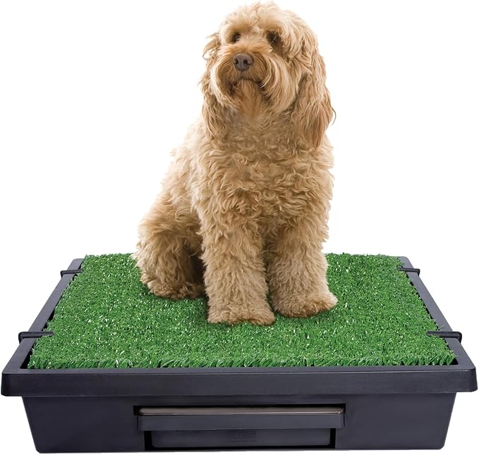 PetSafe Pet Loo Portable Dog Potty, Large