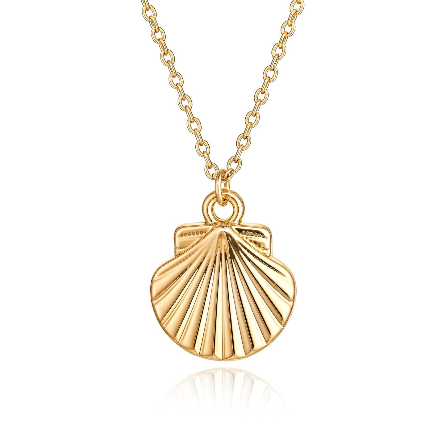 MYEARS Women Gold Necklace Clam Shell Pendant 14K Simple Dainty Chain Everyday Summer Beach Jewelry