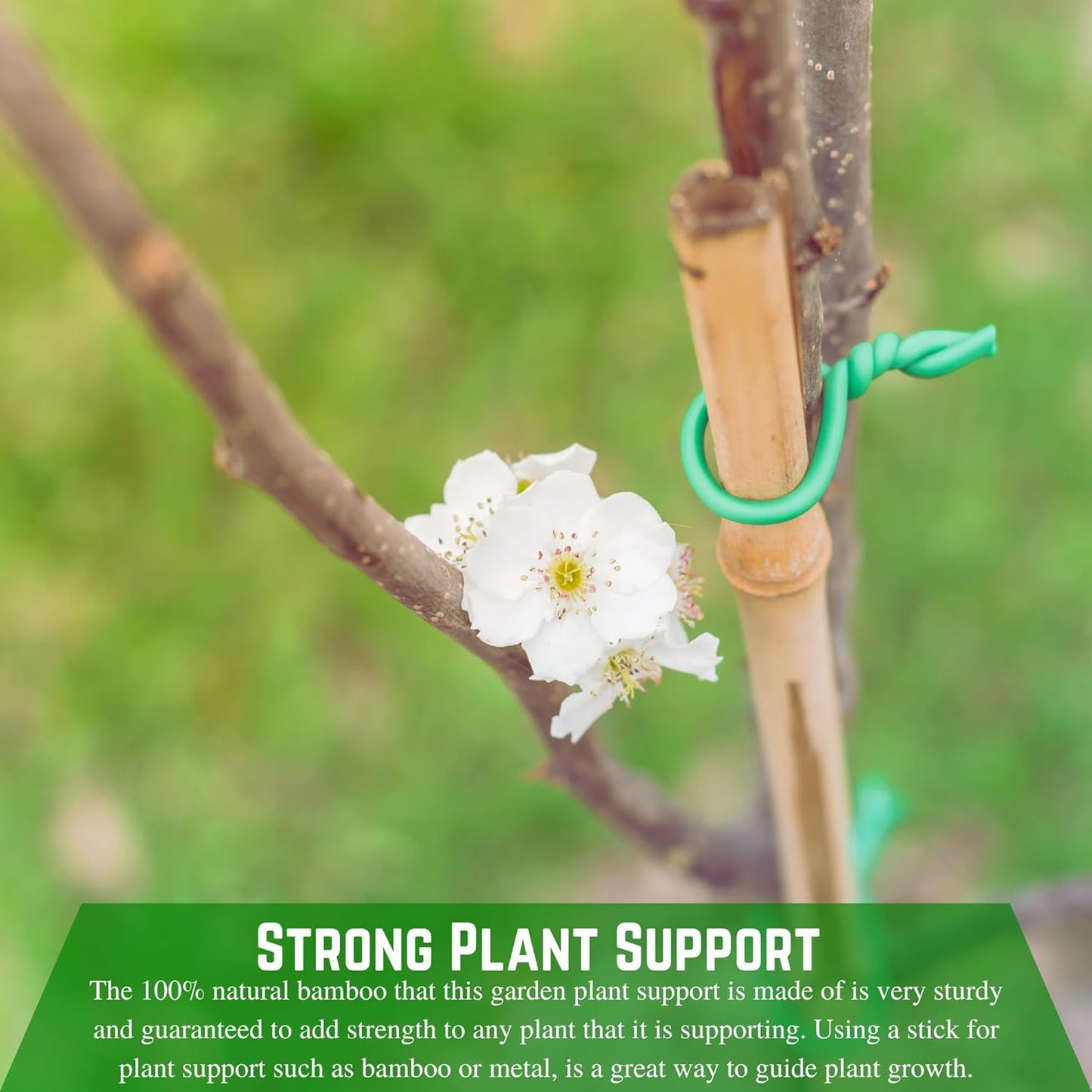 Farm Plastic Supply - Bamboo Garden Stakes - Bambo Sticks, Bamboo Plant Stakes for Outdoor Plants, Plant Support Stakes for Indoor Plants (4 Foot, 75)