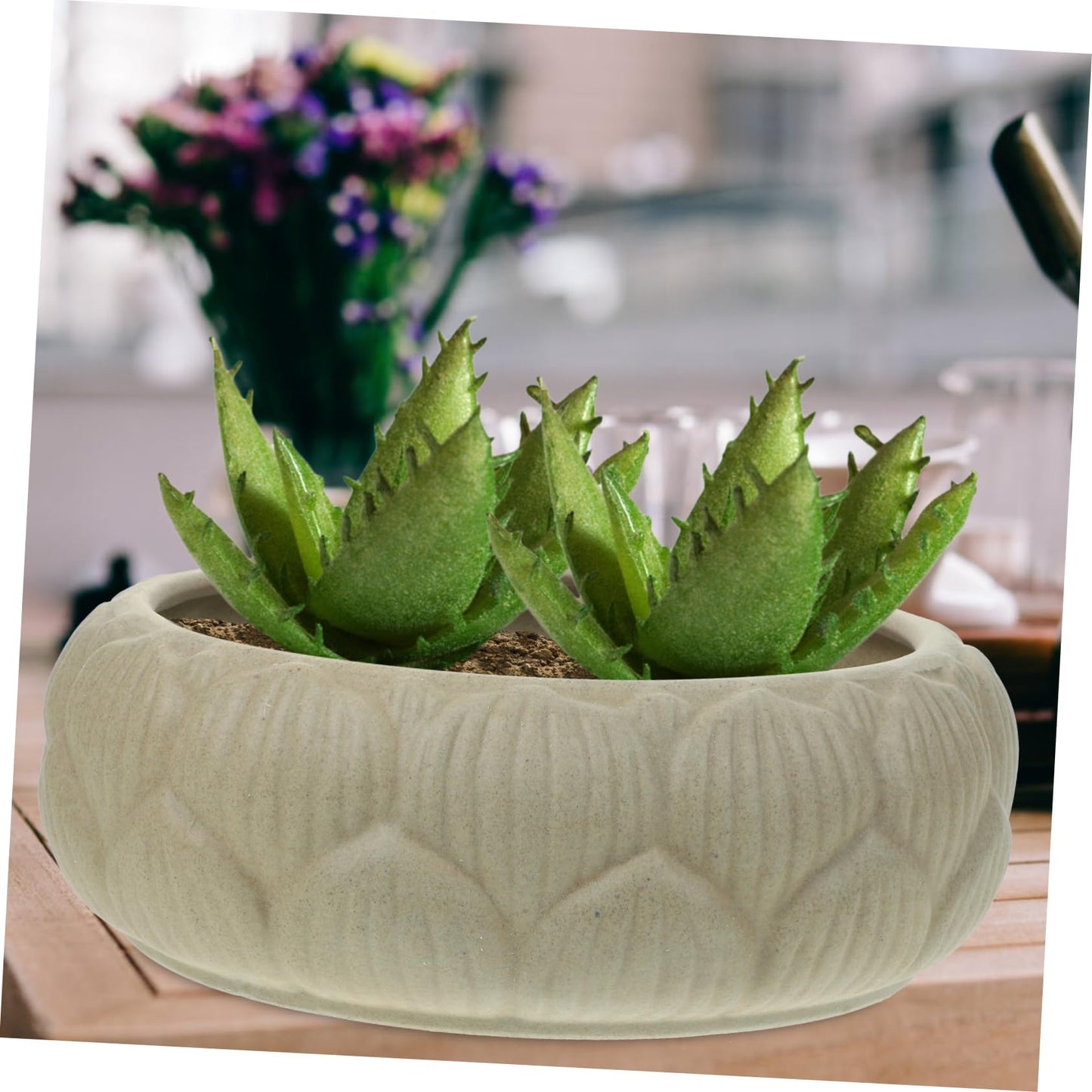 Parliky Hydroponic Planter Bowl 8.26In Round Ceramic Flower Pot for Water Lily Succulents Indoor Garden Decoration and Storage Container