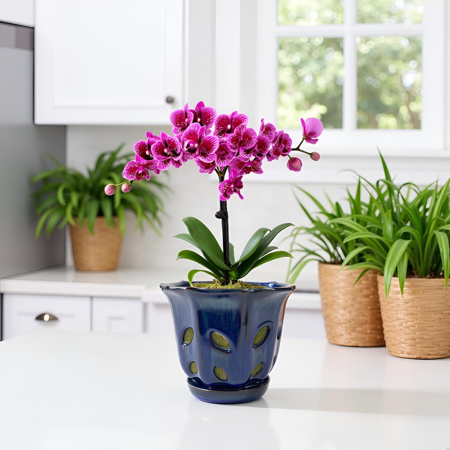 Grdthzey Ceramic Orchid Pots with Holes 6 inch (Dark Blue)