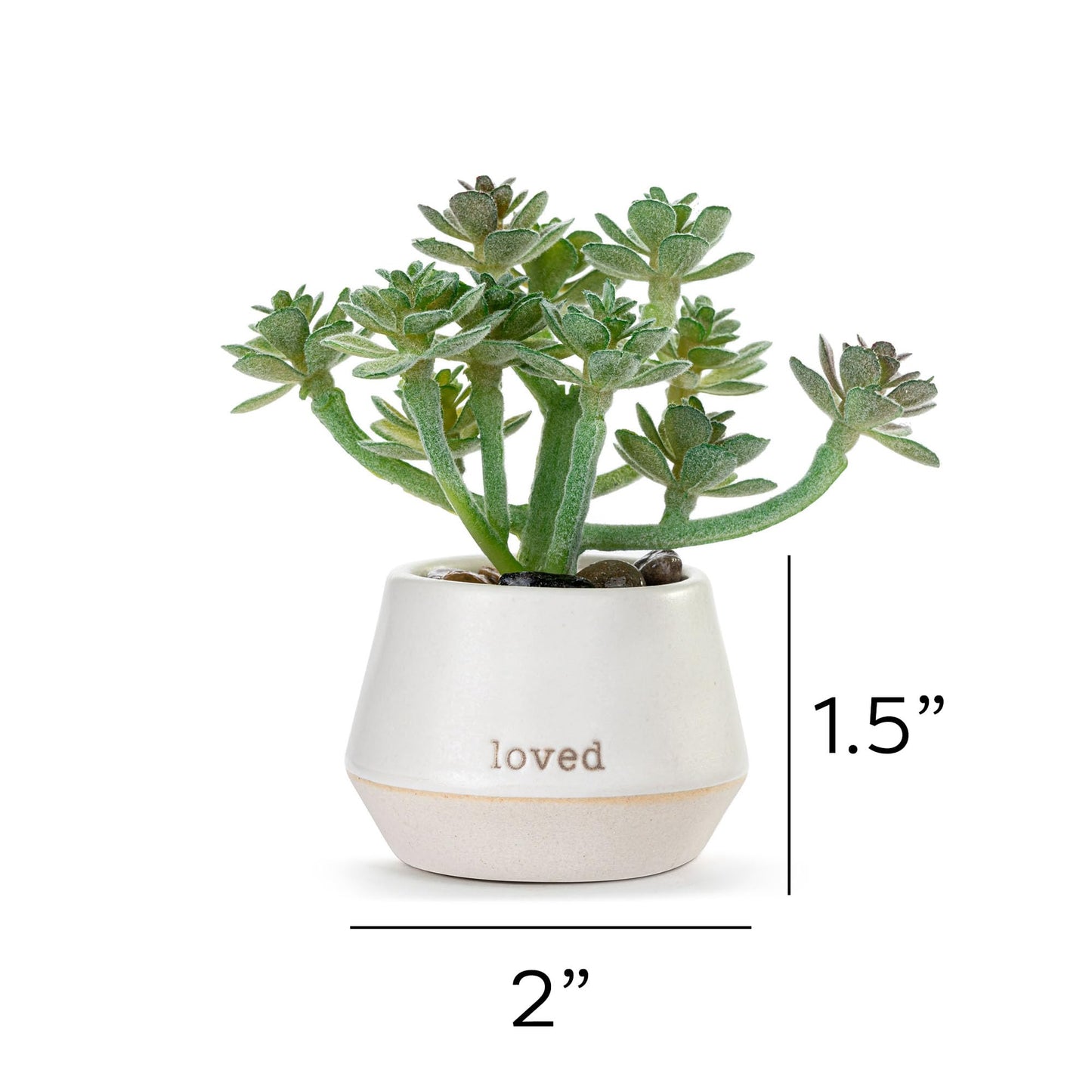 DEMDACO Loved Just Because Artificial White 2 x 1.5 Stoneware Mini Succulent