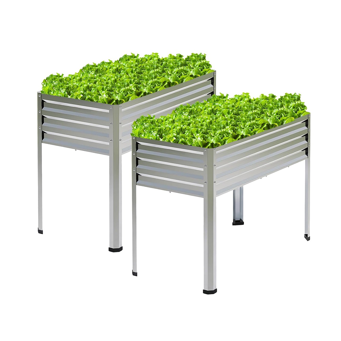 Mofesun Galvanized Raised Garden Bed with Legs, 2PCS 48x18x31.5 Inch Elevated Metal Planter Box, 300lbs Capacity for Vegetables, Flowers, Herbs. Suitable for Garden, Balcony, Patio, Backyard.