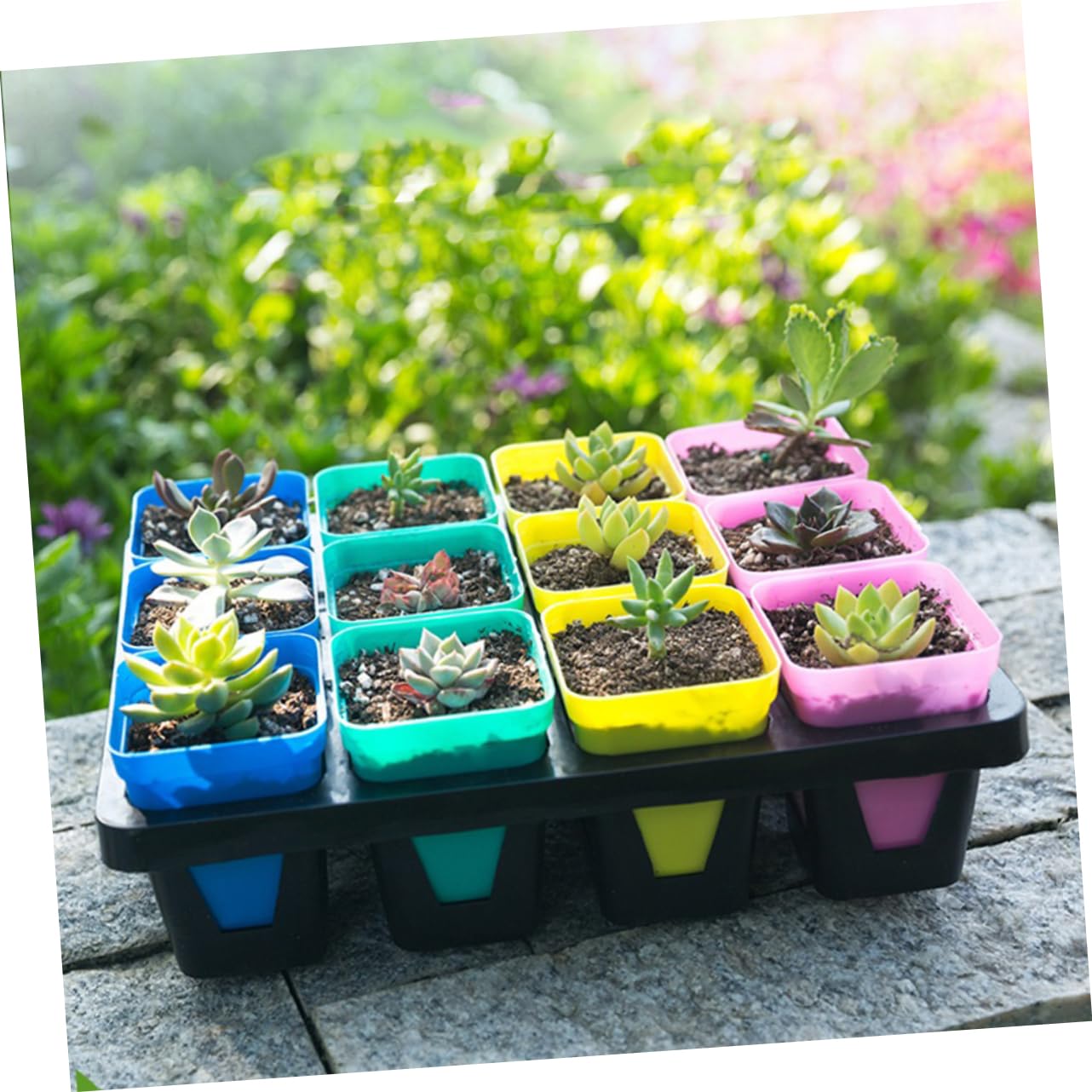 MERRYHAPY 3pcs Plastic Flowerpot Tray with Compartments Breathable Water-Storing Succulent Holder Bracket for Indoor Plants Planter Support Black