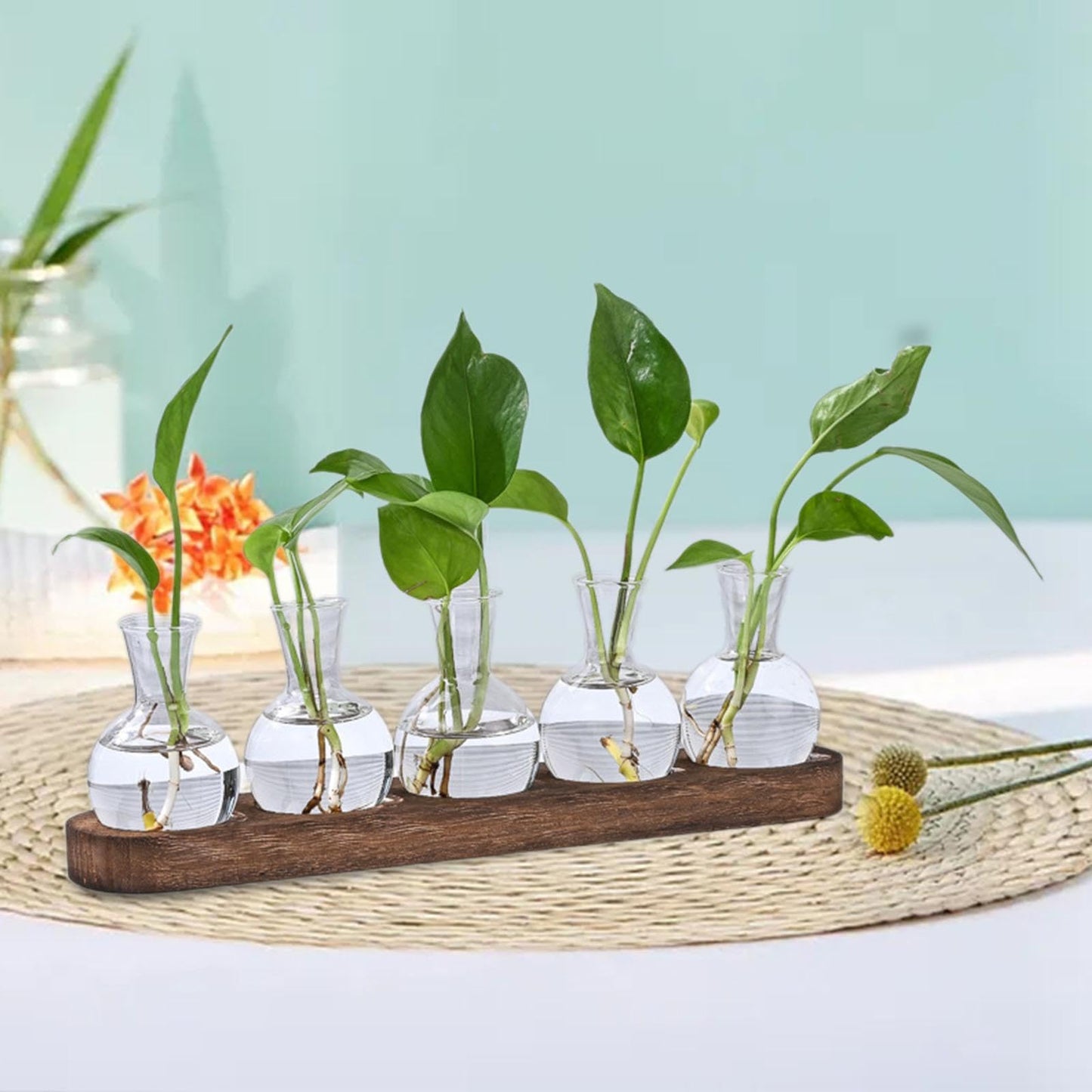 BLWOTMOR Plant Terrarium Desktop Glass Glass Vase