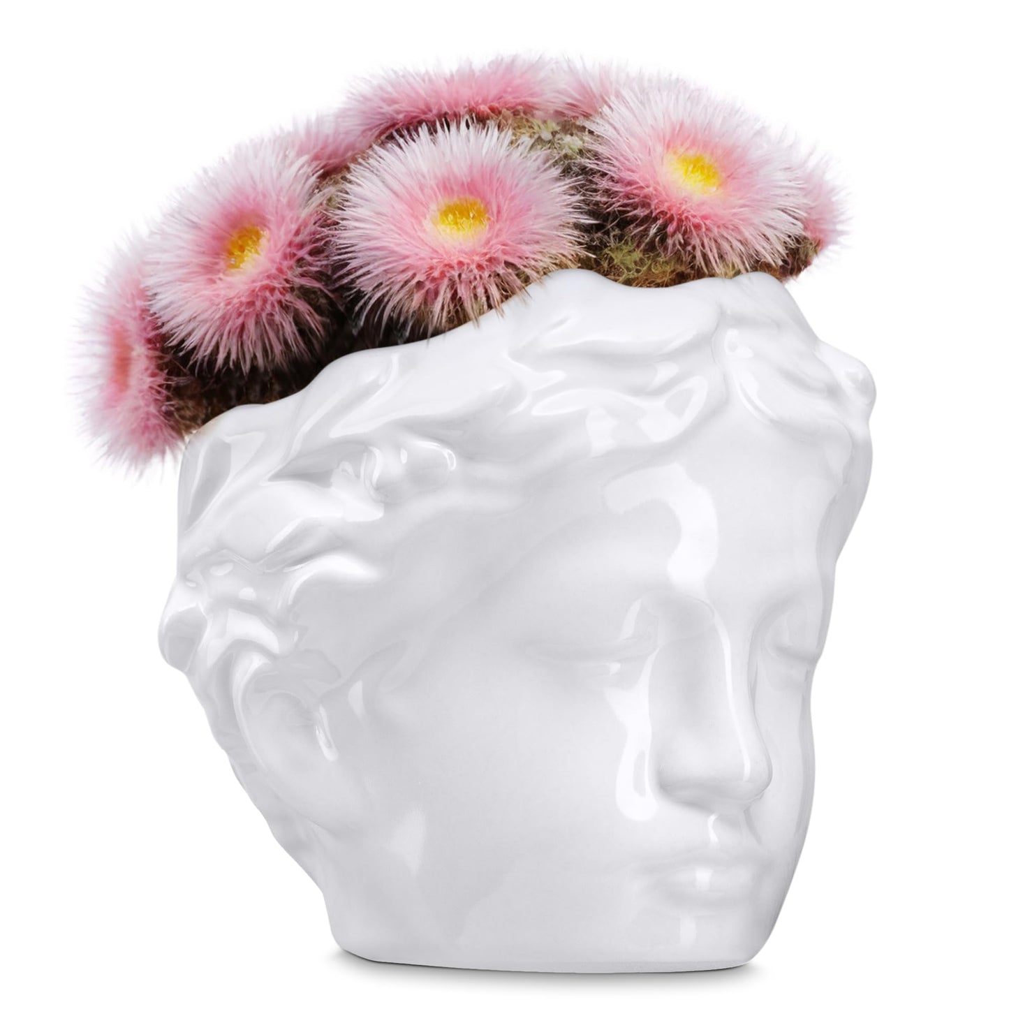 DOMIVKA Small Head Planter - Ceramic Face Planter Pots for Indoor Plants, Cute Funny Succulent Pot with Drainage Hole, Unique Gift, 3.9"