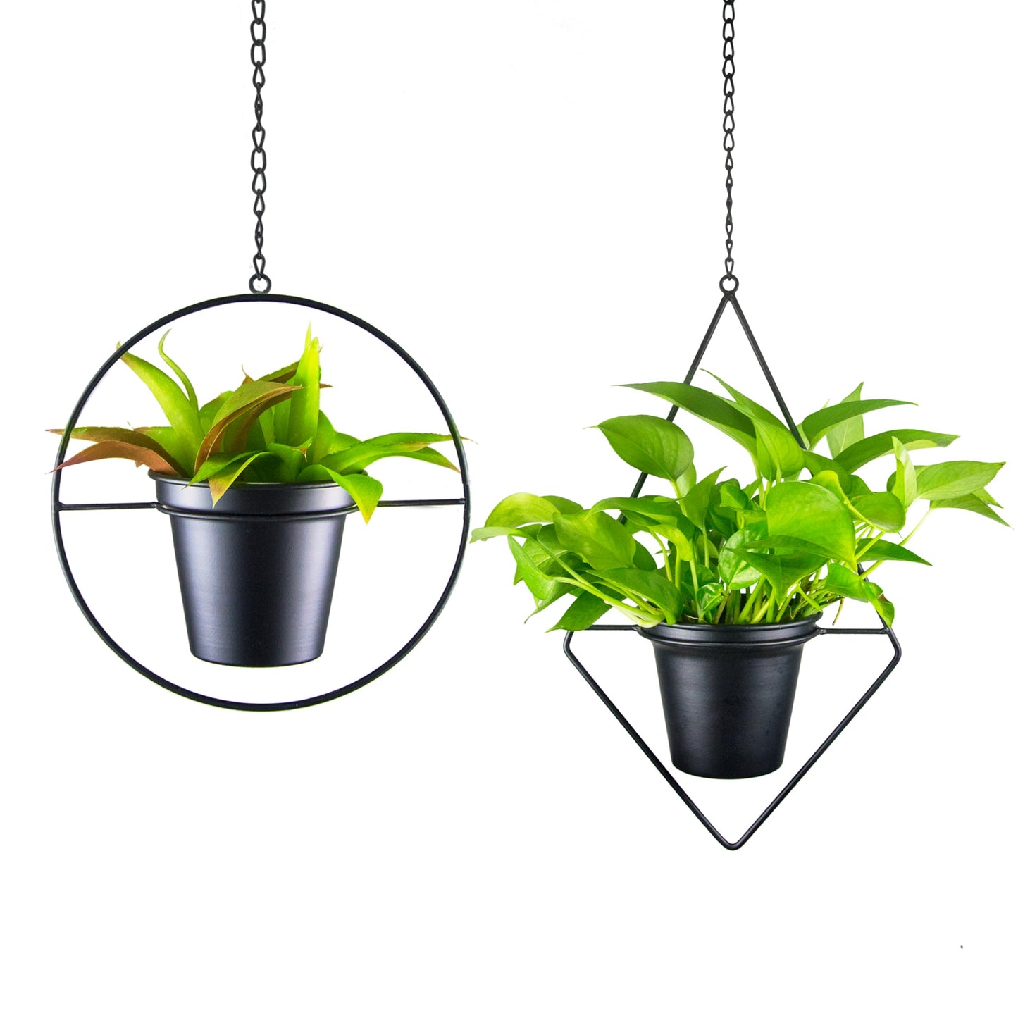 Metal Hanging Planters, Modern Plant Hanger with 5 inch Pot, Set of 4 Black Plant Holder, Small Wall and Ceiling Planter for Indoor Plants, Home Décor