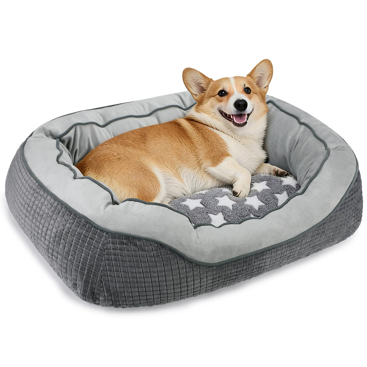 SIWA MARY Washable Dog Bed Medium Size Dogs, Orthopedic Pet Bed