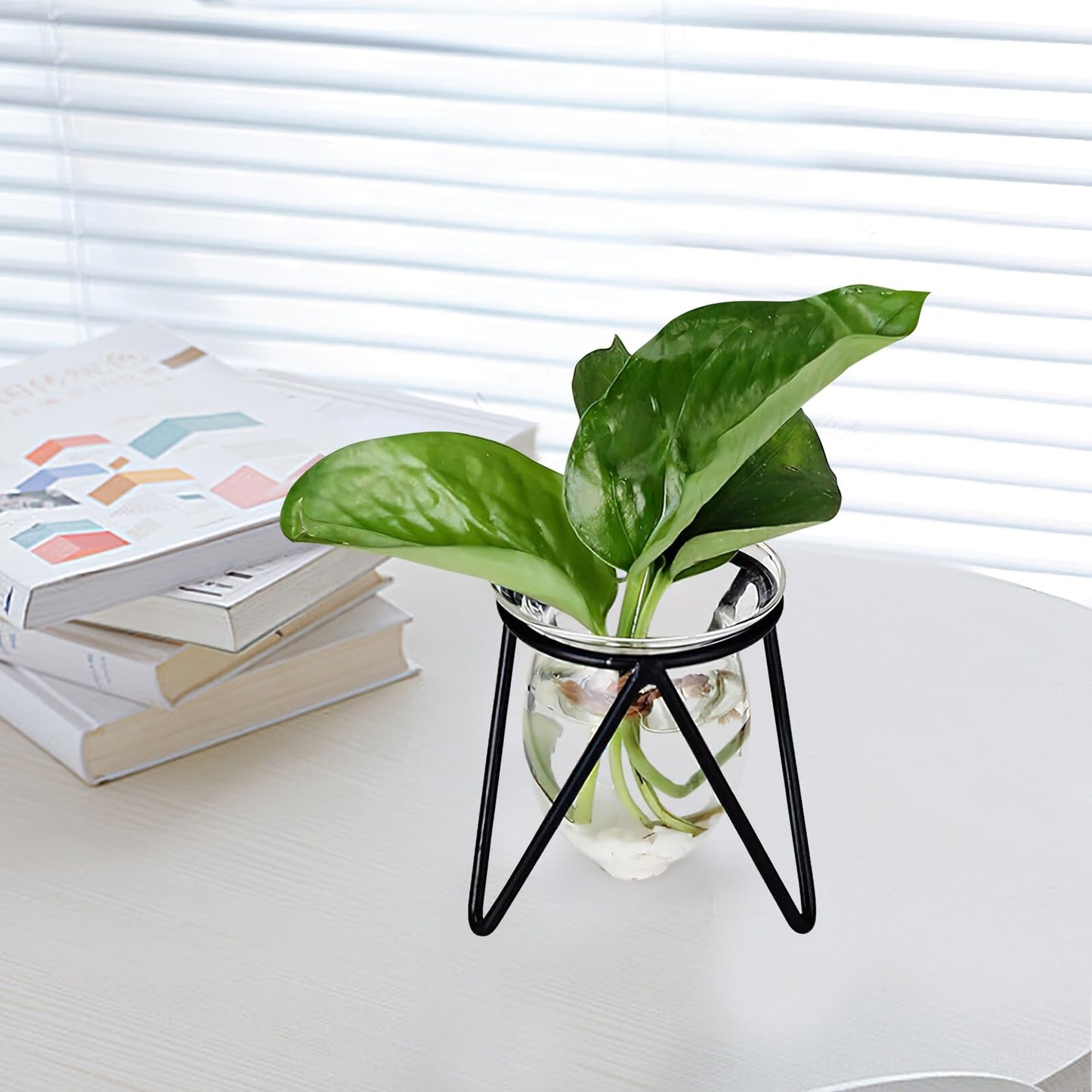 NUOBESTY 6pcs Small Iron Art Flower Stands with Hydroponic Glass Vases for Desktop Plant Decoration and Office Home Hydroponic Terrarium Display