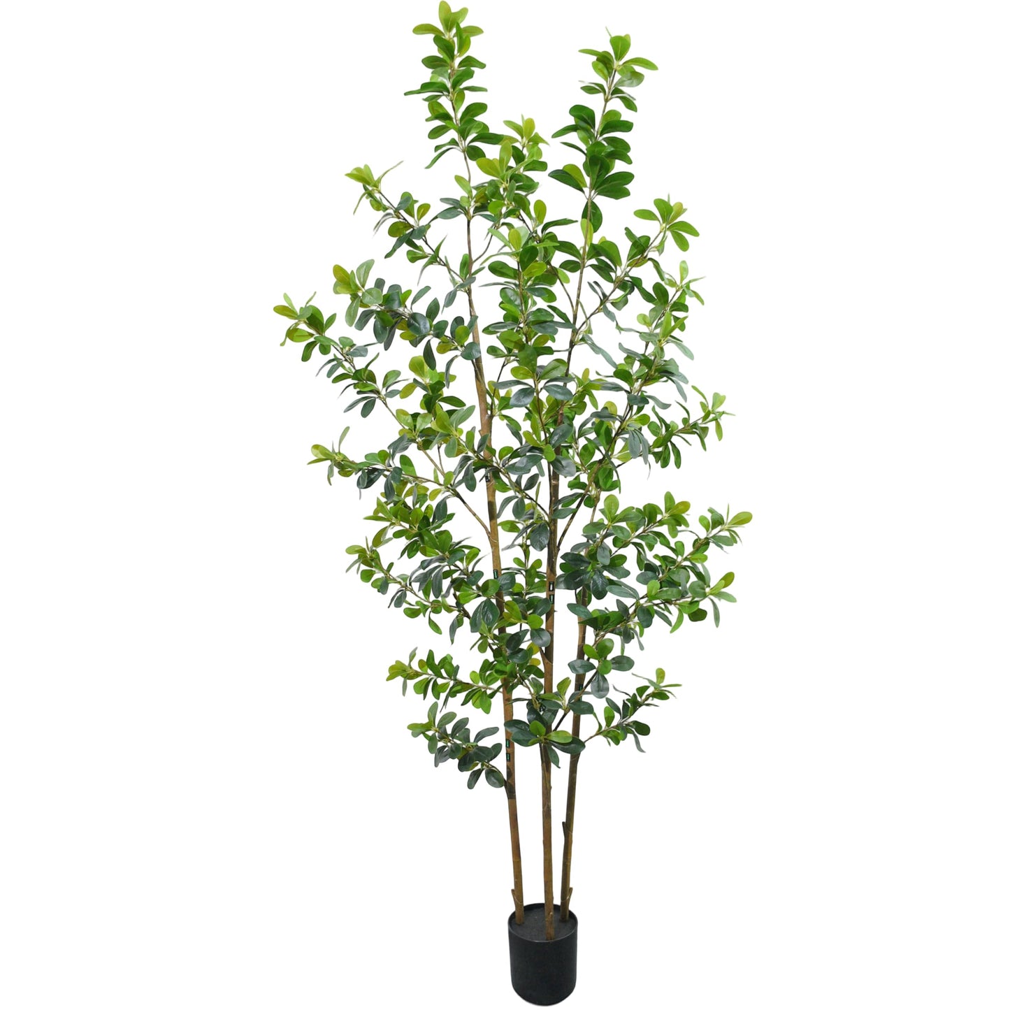 ZSENENT Fake Trees Premium 3 Main Trunks 6 ft Faux Black Olive Tree, Realistic Olive Trees Artificial Indoor, Low-Maintenance, Ideal Artificial Tree for Home Office Décor (Reds, 6 FT)