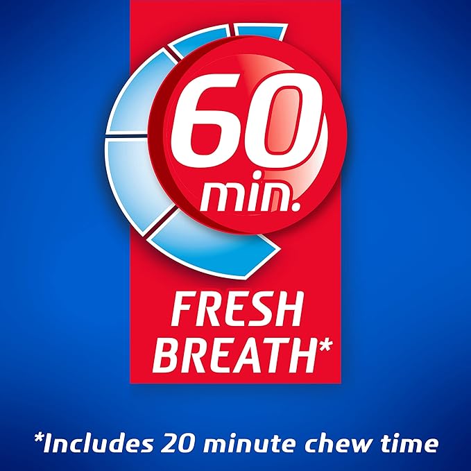 Dentyne Ice Winter Chill Sugar-Free Chewing Gum, 9 Packs of 16 Pieces (144 Total Pieces)