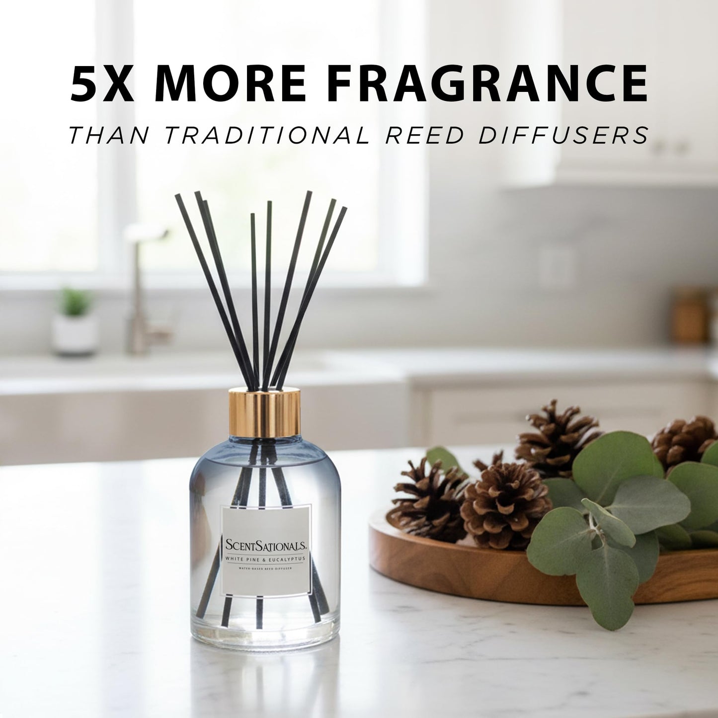 ScentSationals Water-Based Reed Diffuser - White Pine & Eucalyptus - 5 FL OZ Aromatherapy Reed Diffuser