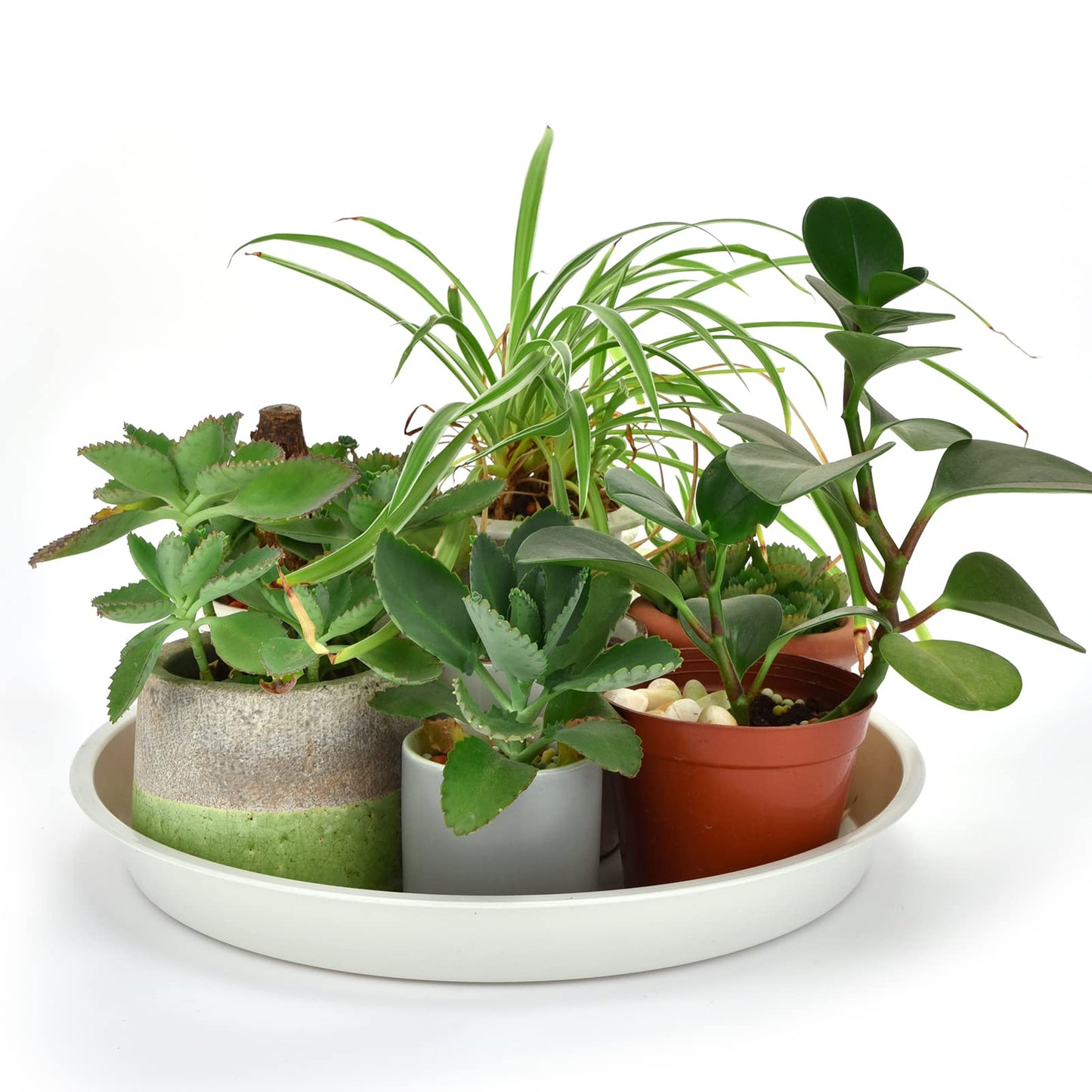 GRESPRI 14-Inch White Plant Saucers for Indoors,5 Packs Sturdy Plastic Plant Trays for Pots Up to 12" Base.14-Inch Flower Pot Saucers for Outdoors.