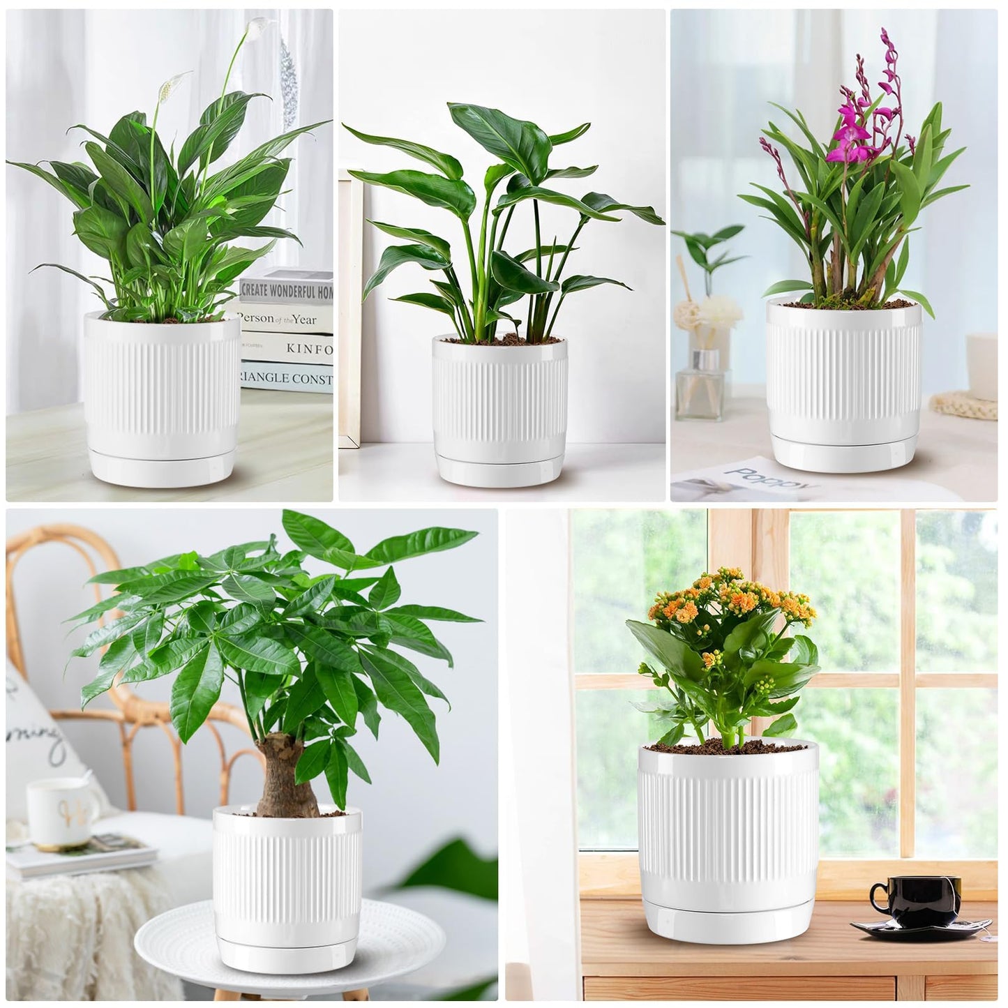 Vanavazon 6 Inch Glazed Ceramic Plant Pots with Drainage Hole and Saucer, Cylinder Indoor Planters for All House Plants, Modern Decor for Home & Office, Set of 2 (White)