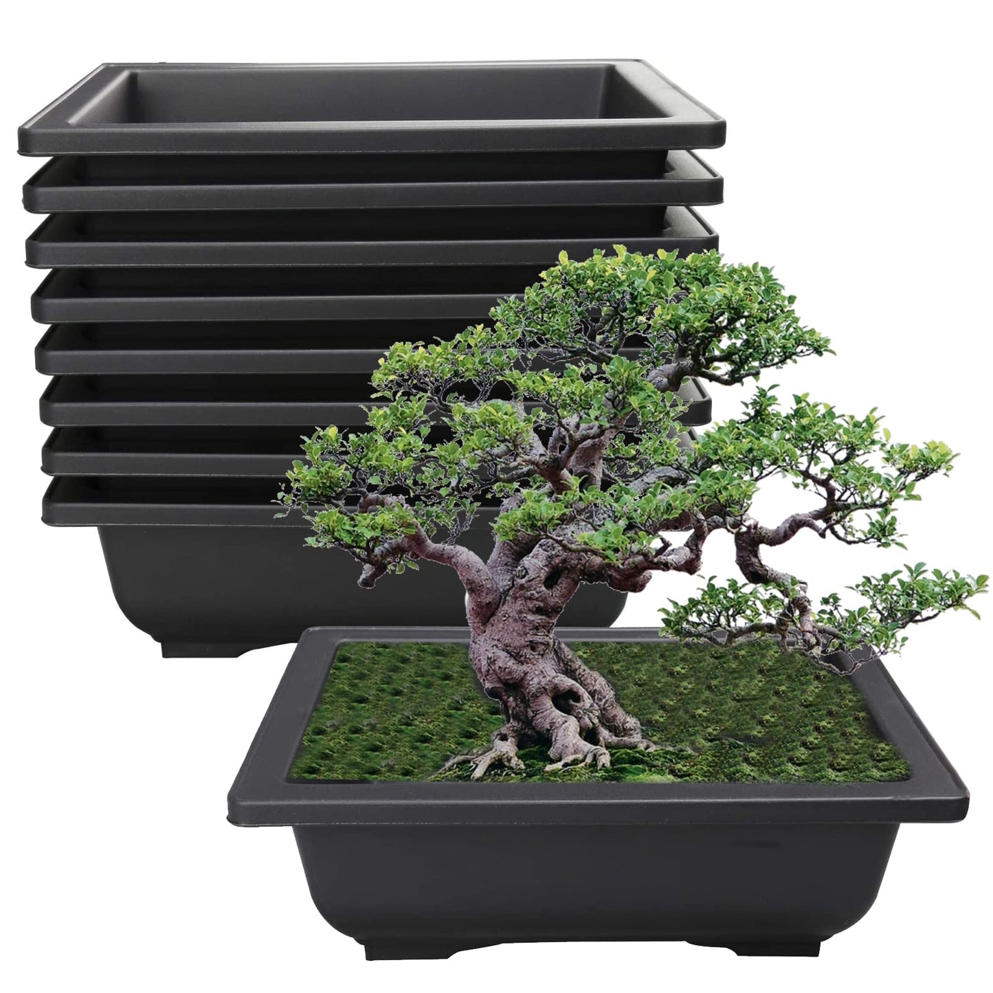 HYDDNice 8Pcs 8.9" Large Plastic Bonsai Training Pots Flower Plant Retro Style Square Nursery Pots