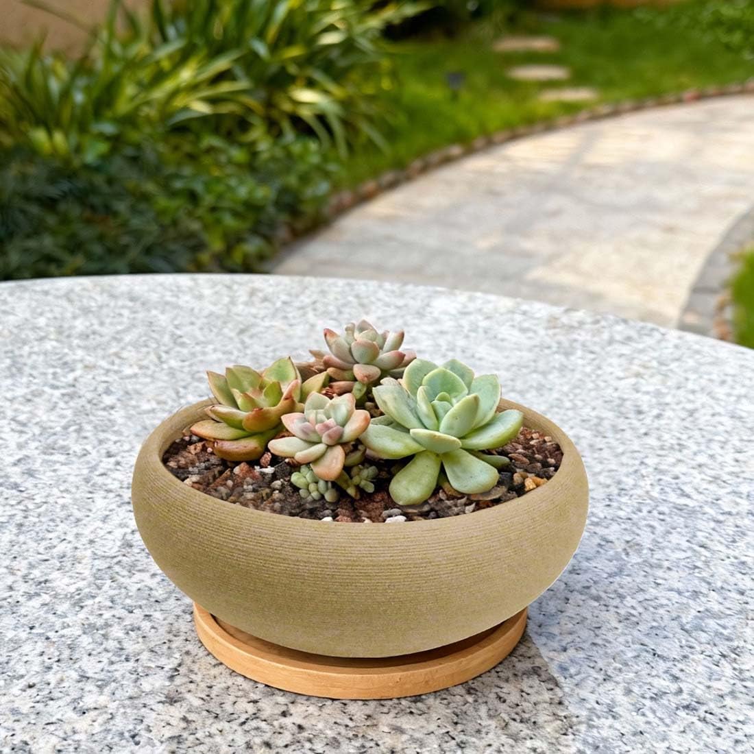 MUZHI 2 Pack Round Unglazed Ceramic Bonsai Pot with Bamboo Tray 8"+6.5", Large Rough Pottery Succulent Planter with Drainage Hole