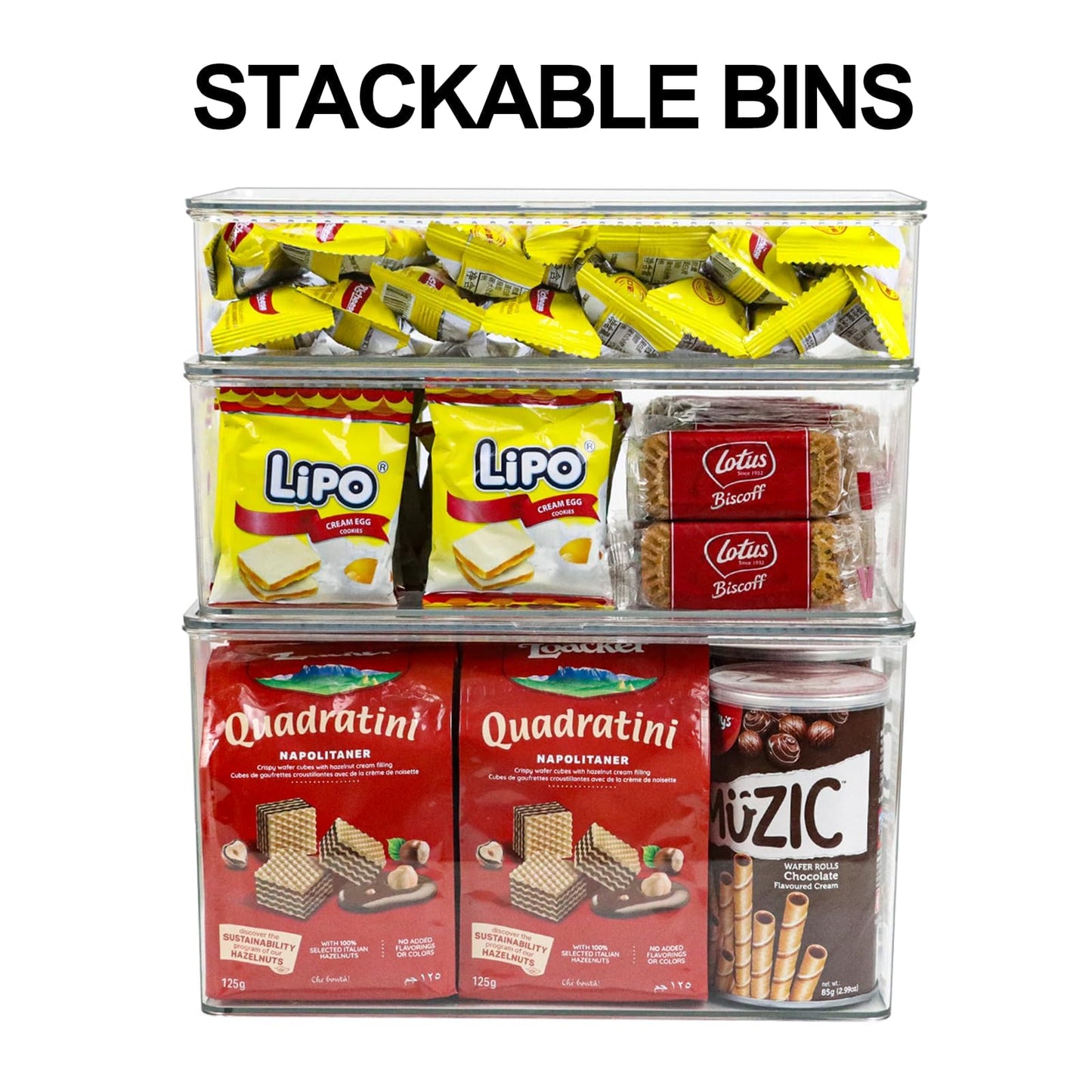 ZEXALOR Clear Plastic Storage Bin with Lid, Organizer for Pantry, Office, Bathroom, Kitchen, Snack, Tea Bag, Coffee Container (Large)