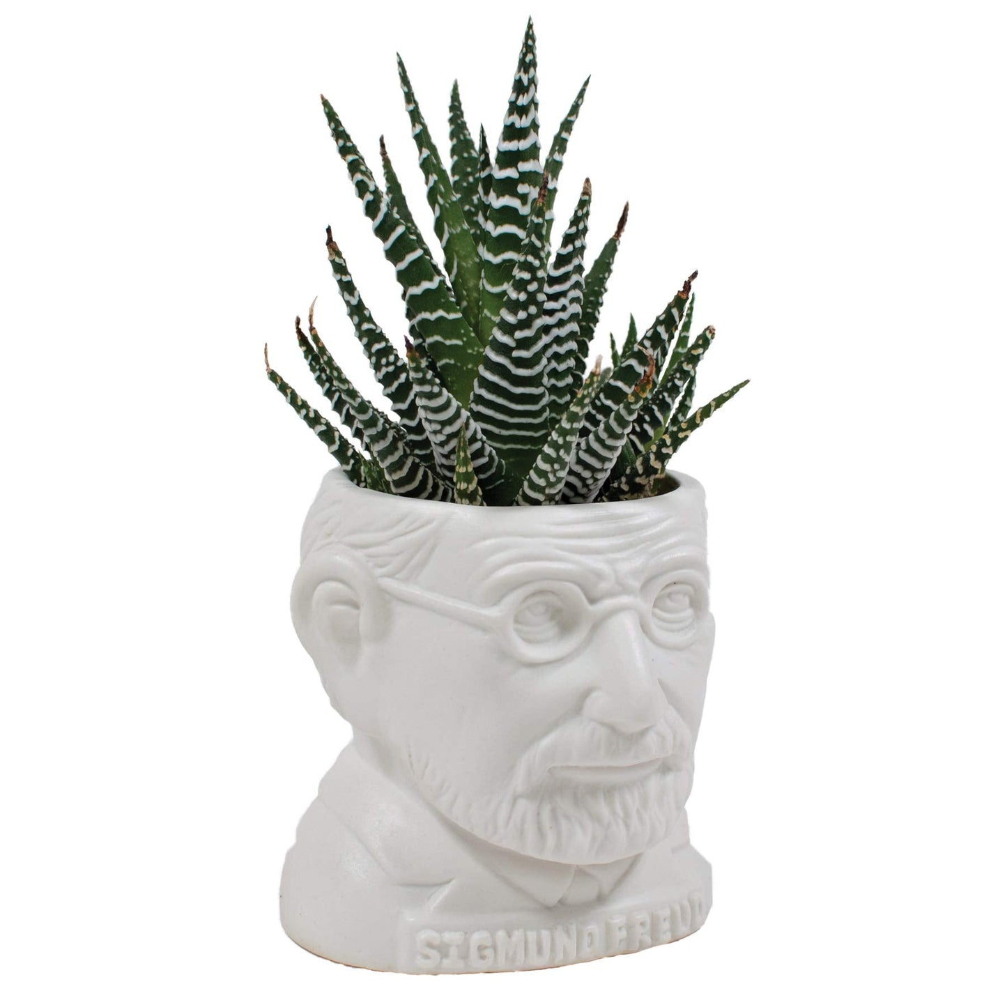 The Unemployed Philosophers Guild Sigmund Freud Bust Ceramic Planter