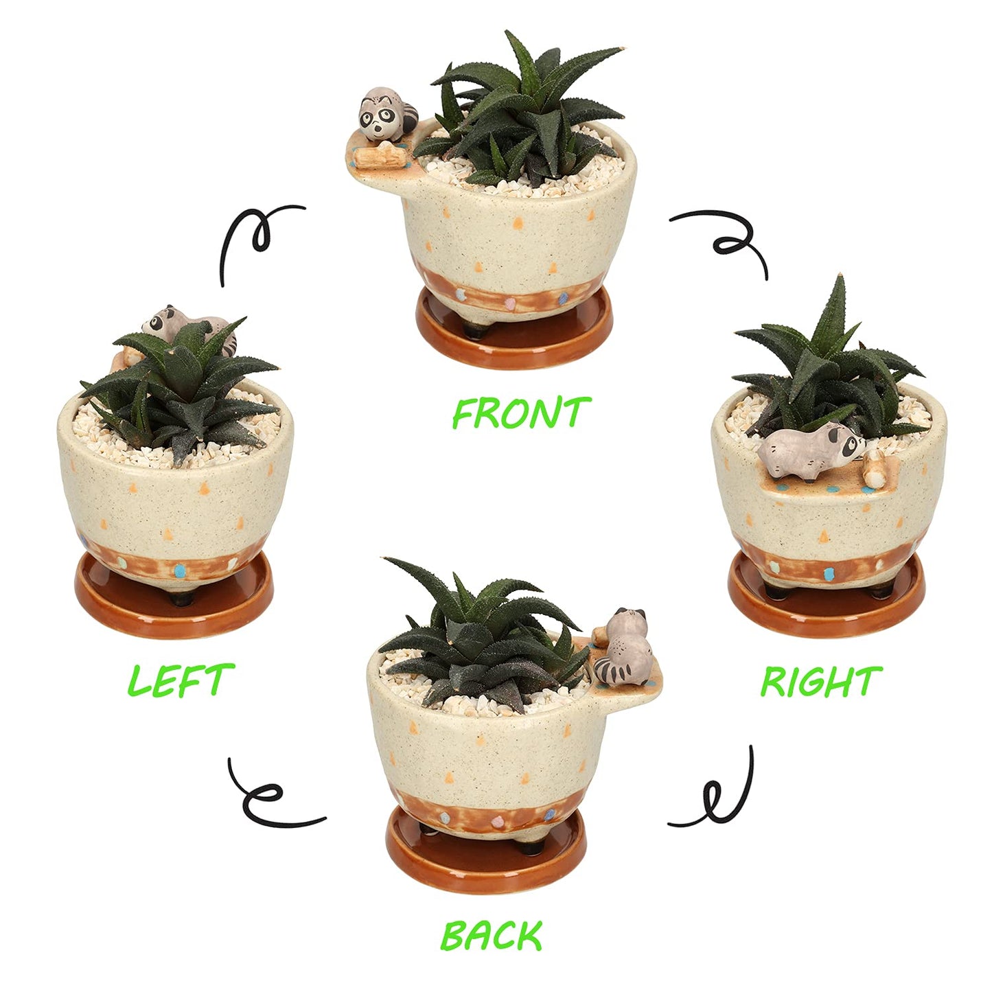 MAKOLO Ceramic Succulent Planter Small Pot with Drainage Hole and Tray for Cactus Flower Plant Container Shelf Home Office Desk Decoration (Raccoon)