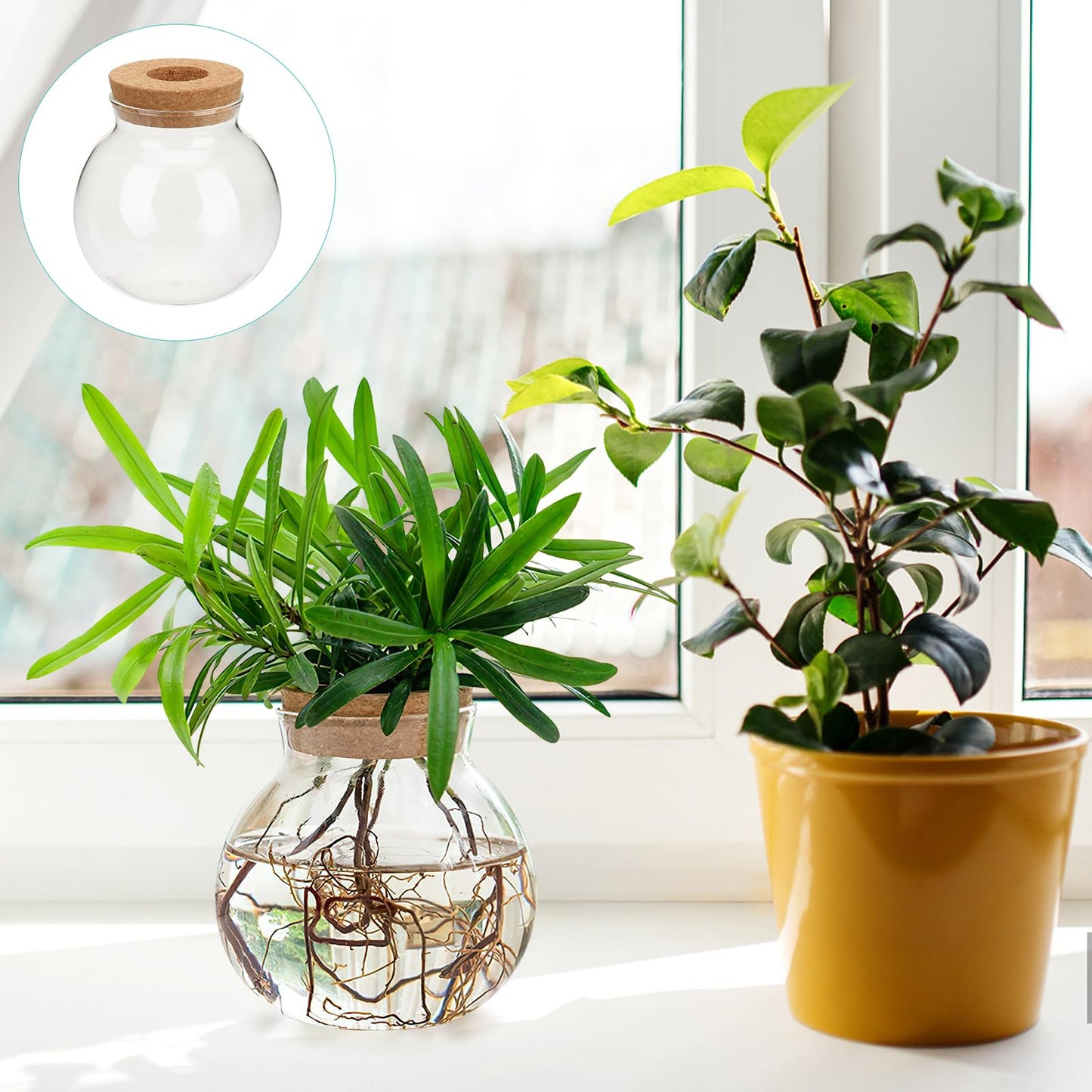 Yardwe Small Ball Glass Hydroponic Plant Vase, 4.33 Inch Round Propagation Vase Bottle for Plant Cuttings, Mini Terrarium Bottle for Desktop Home Decor