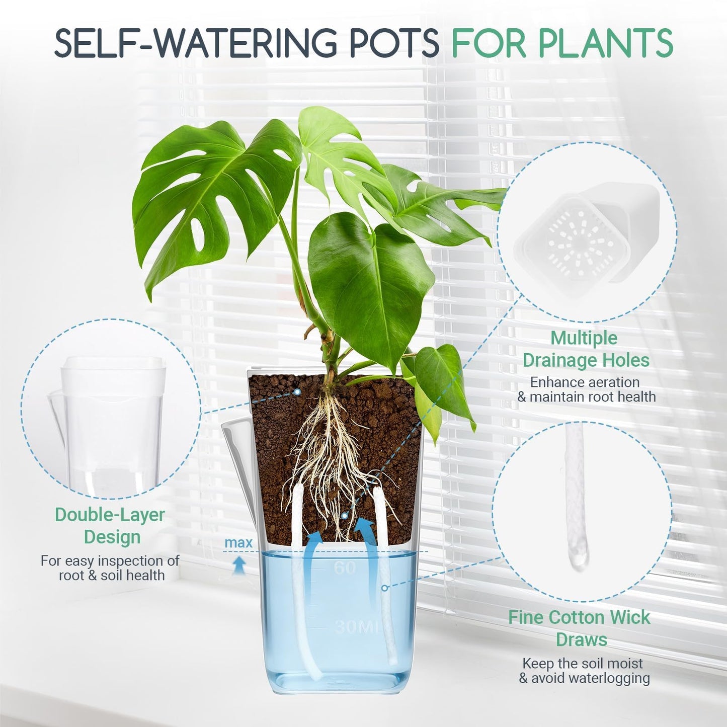FIMXSD 12 Pack 2" Small Self-Watering Planter Pots - Mini Clear Seed Starter Pots with Visible Water Level, Plastic Nursery Pots for Succulents, Herbs, and Propagation - Includes 12 Plant Labels