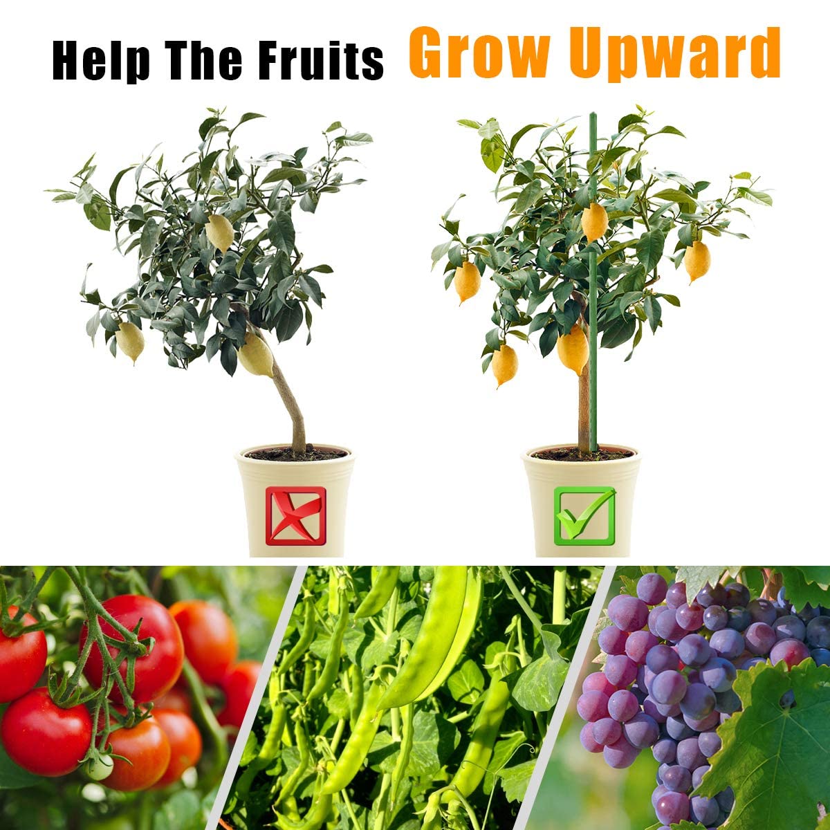 LAVEVE Garden Stakes 36 Inches Heavy Duty Steel Tomato Stake, Plastic Coated Support for Securing Trees, Climbing Plants, Cucumber, Beans, Pack of 20