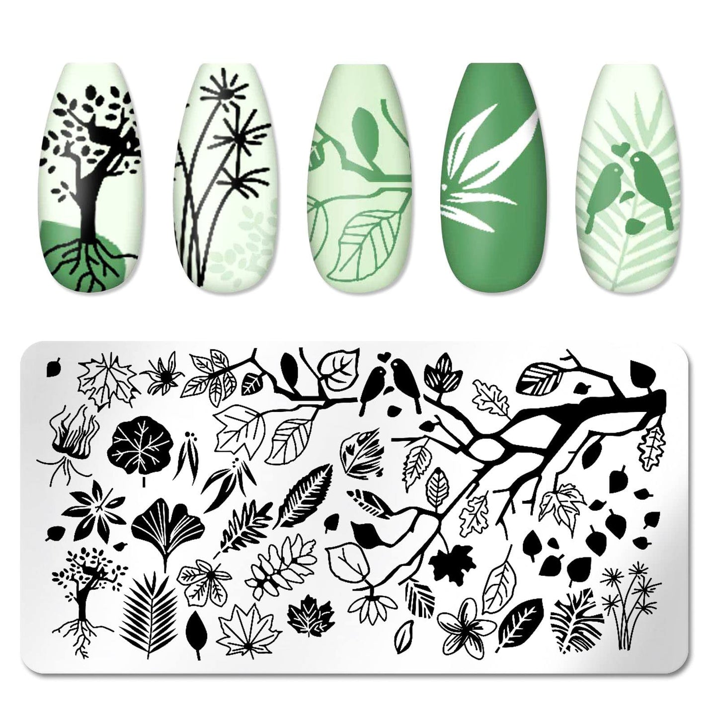 JERCLITY 6pcs Nail Art Stamping Kit Nature Nail Stamping Plates for Nails Butterfly Love Heart Beach Flower Snake Image Plates for Holiday