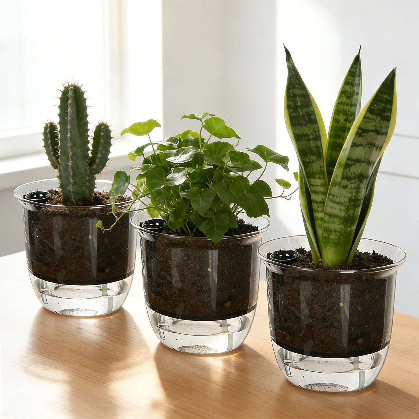 IWNTWY Self Watering Pots, 3 Pack 5 Inch Clear Plant Pot Self Watering Planter Flowers Pot with Deep Reservoir for Indoor Plants (3 Medium)