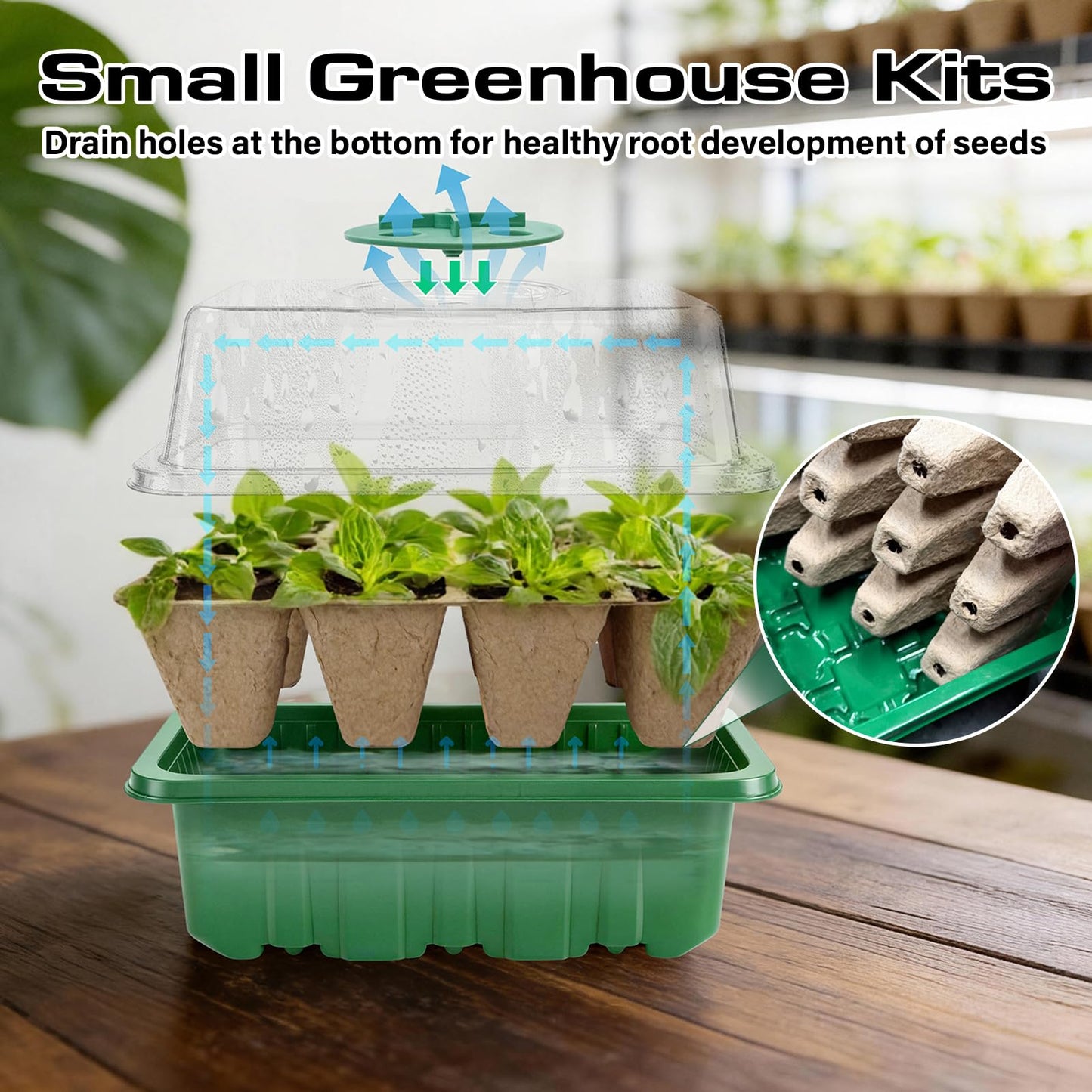 Bhyhok Seed Starter Tray Kit 10 Pack, Seed Starting Trays with Humidity Dome (120 Cells Total), Plant Germination Trays Complete Mini Greenhouse for Seed Growing & Seedlings