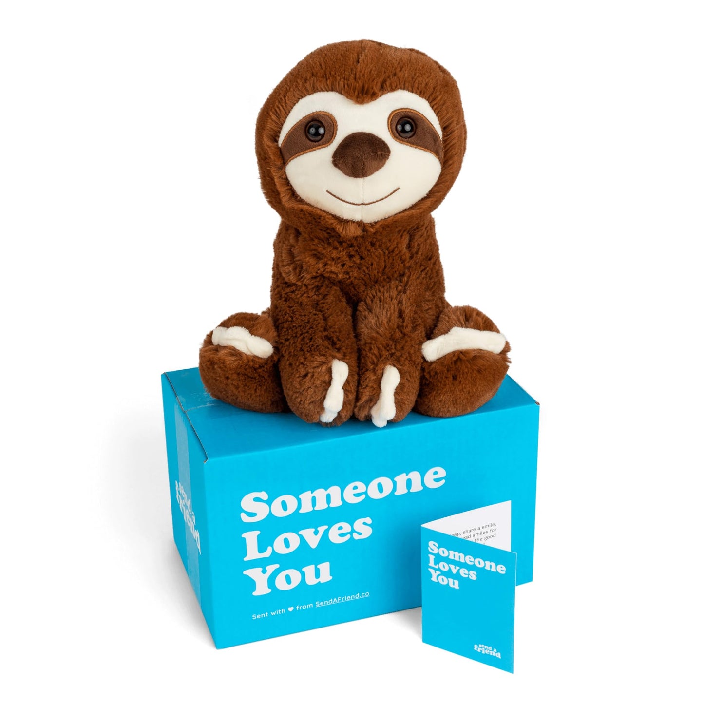 SendAFriend Sam The Sloth Stuffed Animal Care Package, Someone Loves You Box, Great Gift for Any Reason (Happy Birthday Notecard)