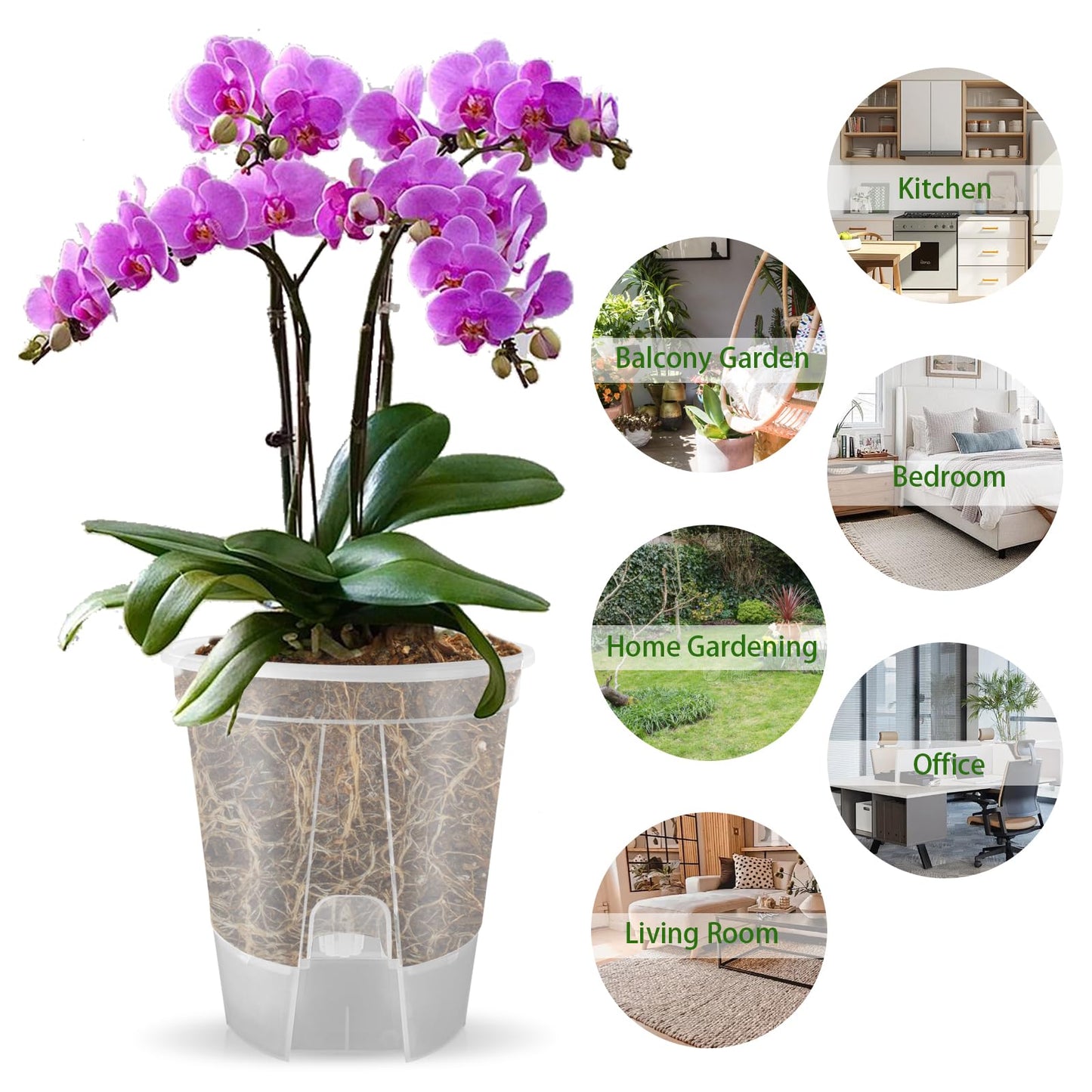Cdd's Path 5-Pack 6 Inch Self Watering Naked Root Planter Pots with Drainage Holes & Reservoir, Plastic Planters with Air Pipes for Indoor Outdoor Plants，Clear
