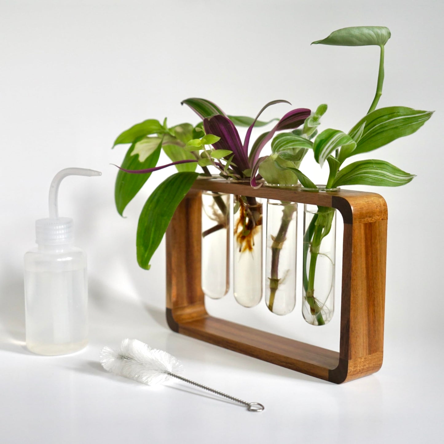 Source & Plot Plant Propagation Station - Acacia Wood Stand with 4 Glass Test Tubes, Tabletop Hydroponic Terrarium Planter Rack for Rooting & Houseplant Decor, Gift for Plant Lovers