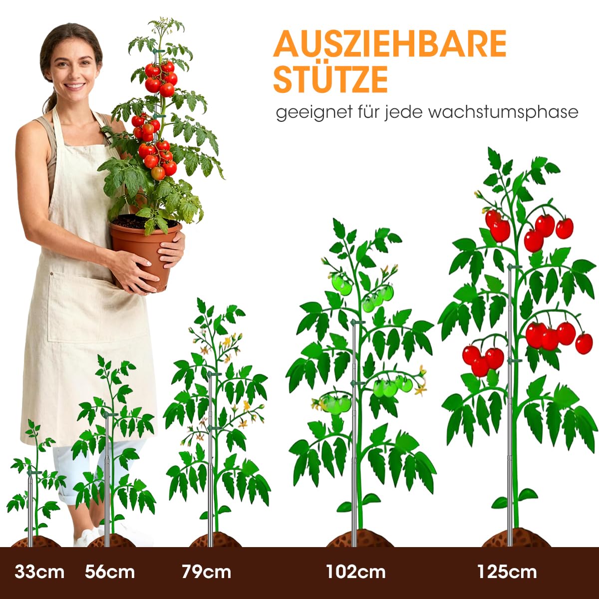 Aieve Extendable Plant Stakes, 13in to 49in Stainless Steel Telescoping Monstera Plant Support Stakes, Indoor Outdoor Garden Stake Support Sticks for Tomato Vegetables Monstera Vine (5 Packs)